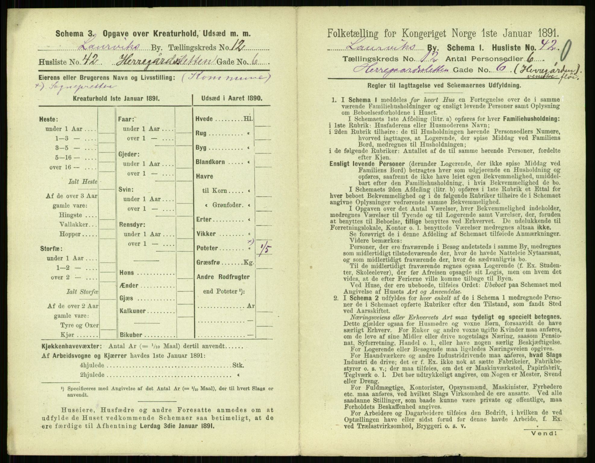 RA, 1891 census for 0707 Larvik, 1891, p. 1501