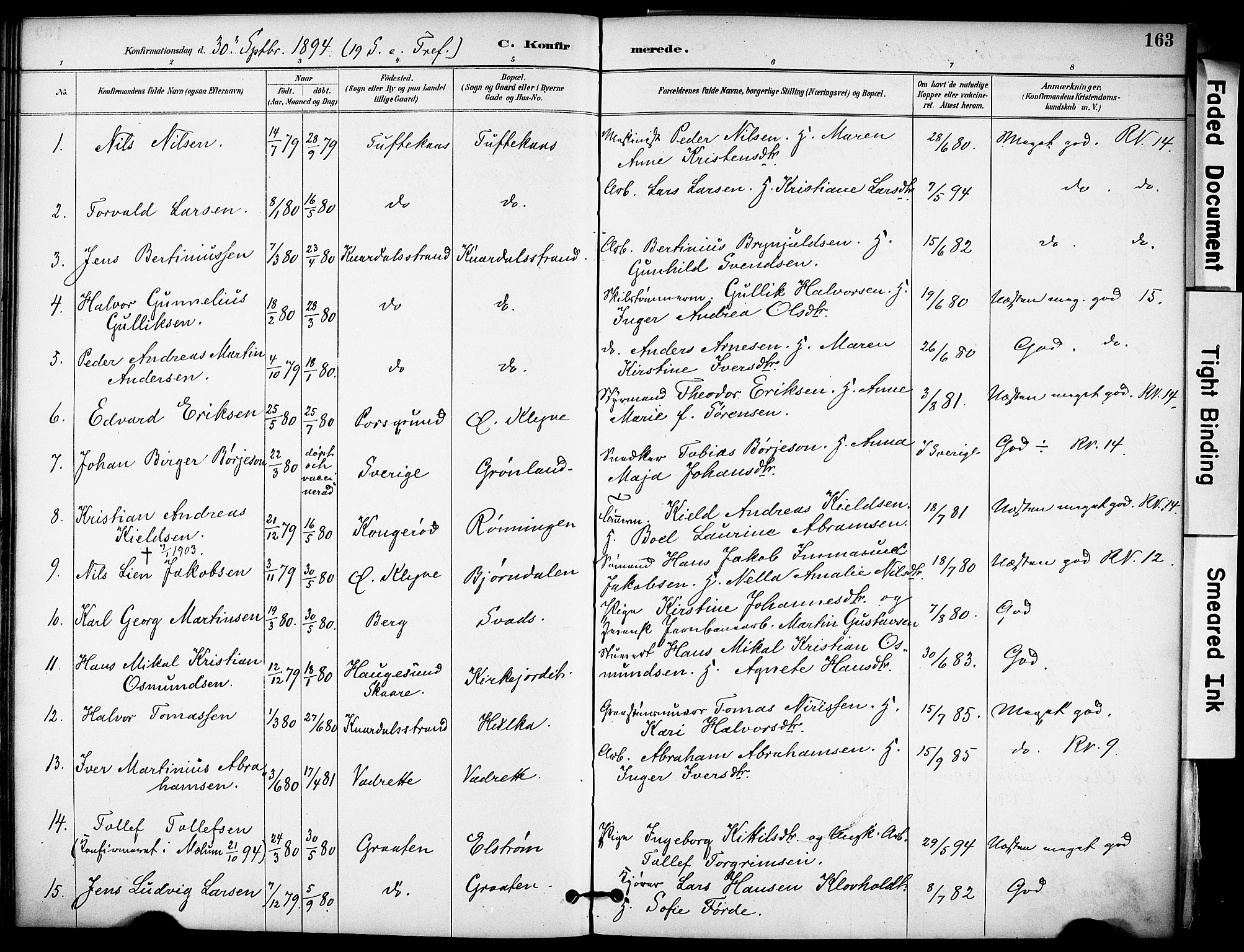 Solum kirkebøker, SAKO/A-306/F/Fa/L0010: Parish register (official) no. I 10, 1888-1898, p. 163