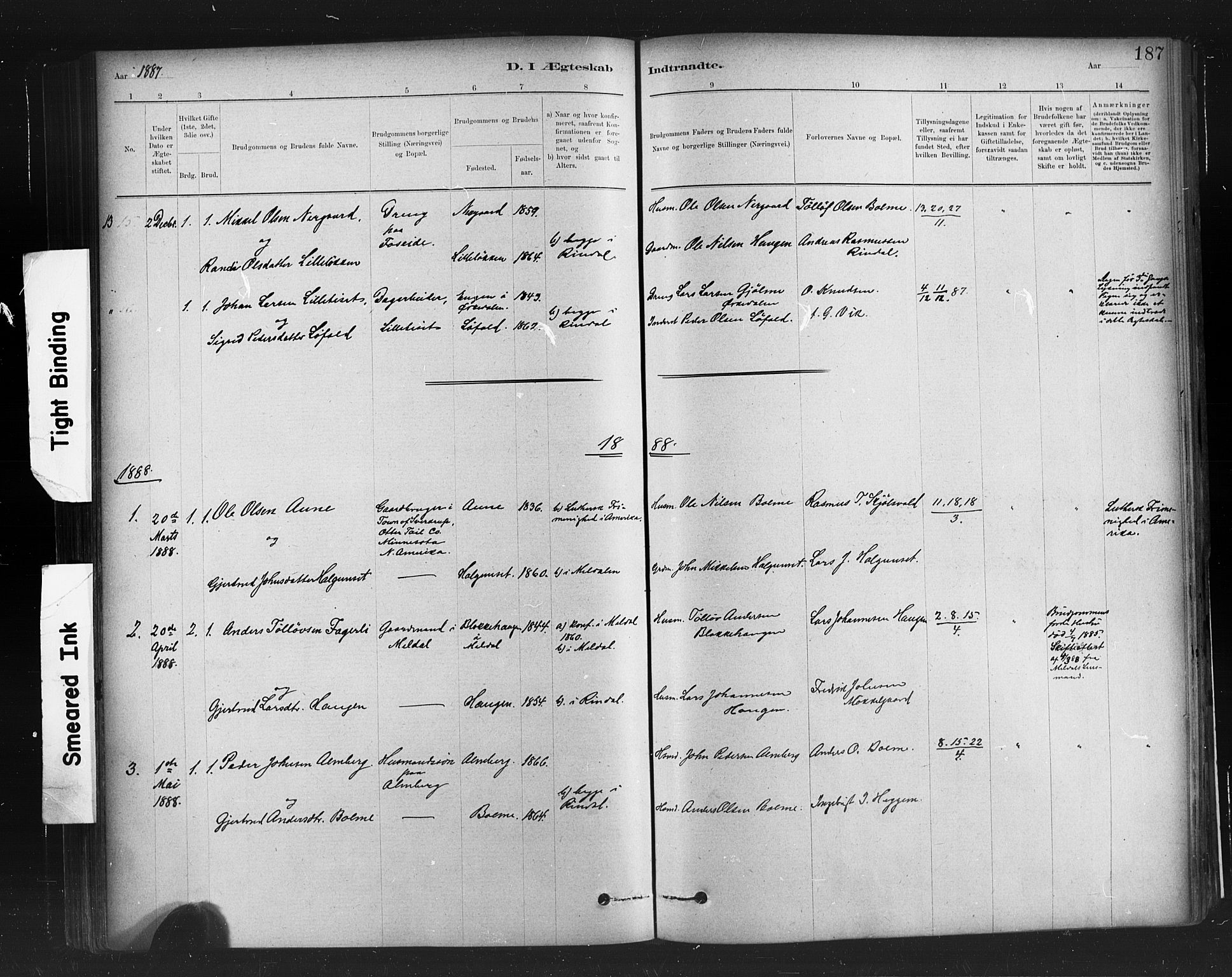 Ministerialprotokoller, klokkerbøker og fødselsregistre - Møre og Romsdal, AV/SAT-A-1454/598/L1069: Parish register (official) no. 598A03, 1882-1895, p. 187