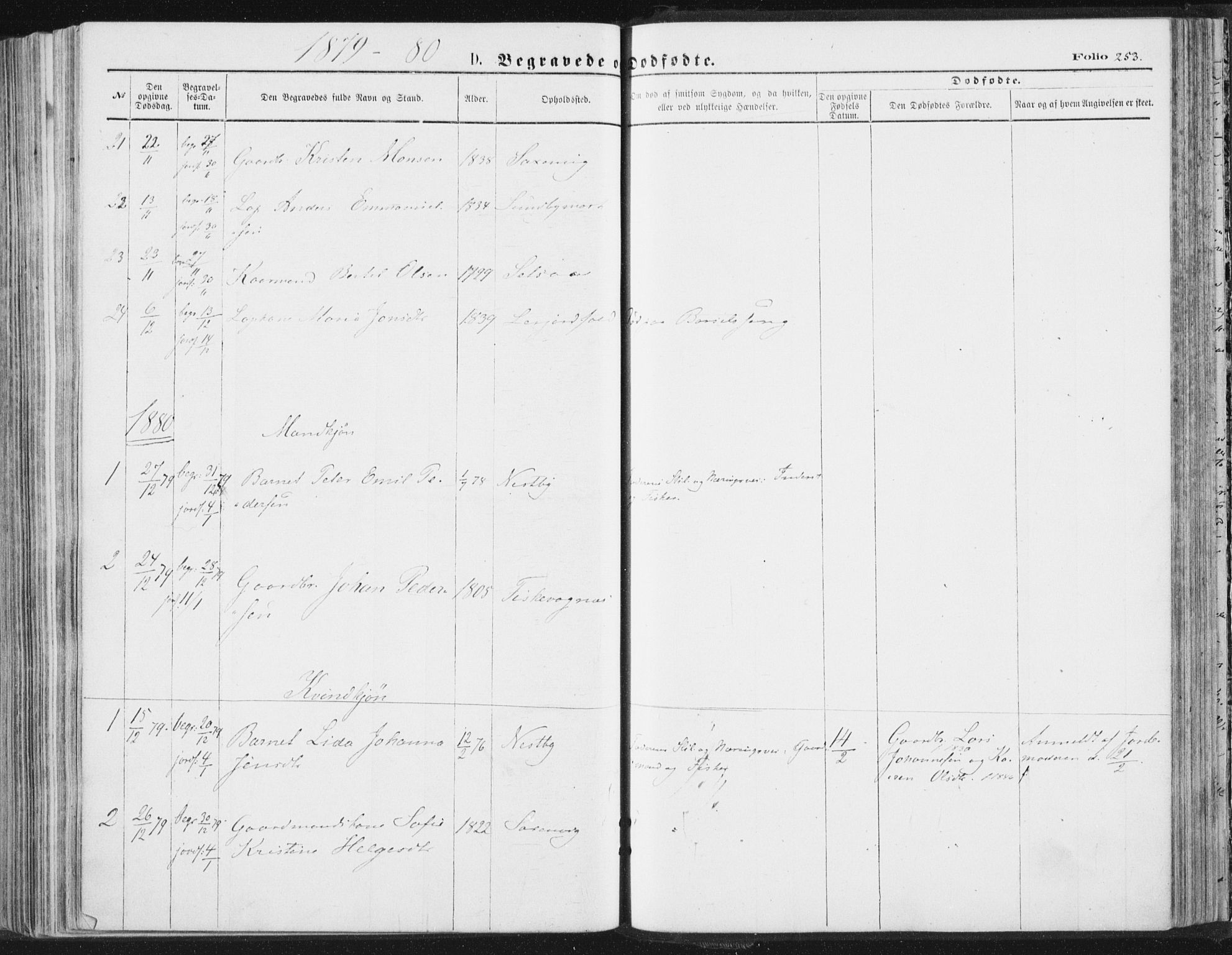 Ministerialprotokoller, klokkerbøker og fødselsregistre - Nordland, SAT/A-1459/847/L0668: Parish register (official) no. 847A08, 1872-1886, p. 253