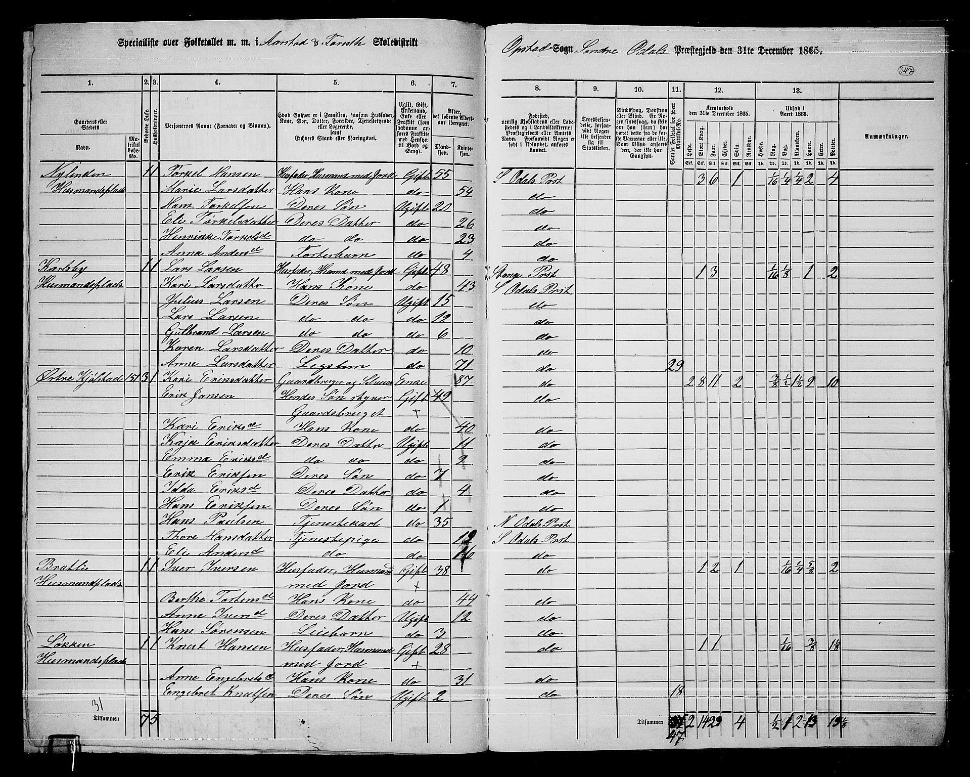 RA, 1865 census for Sør-Odal, 1865, p. 306