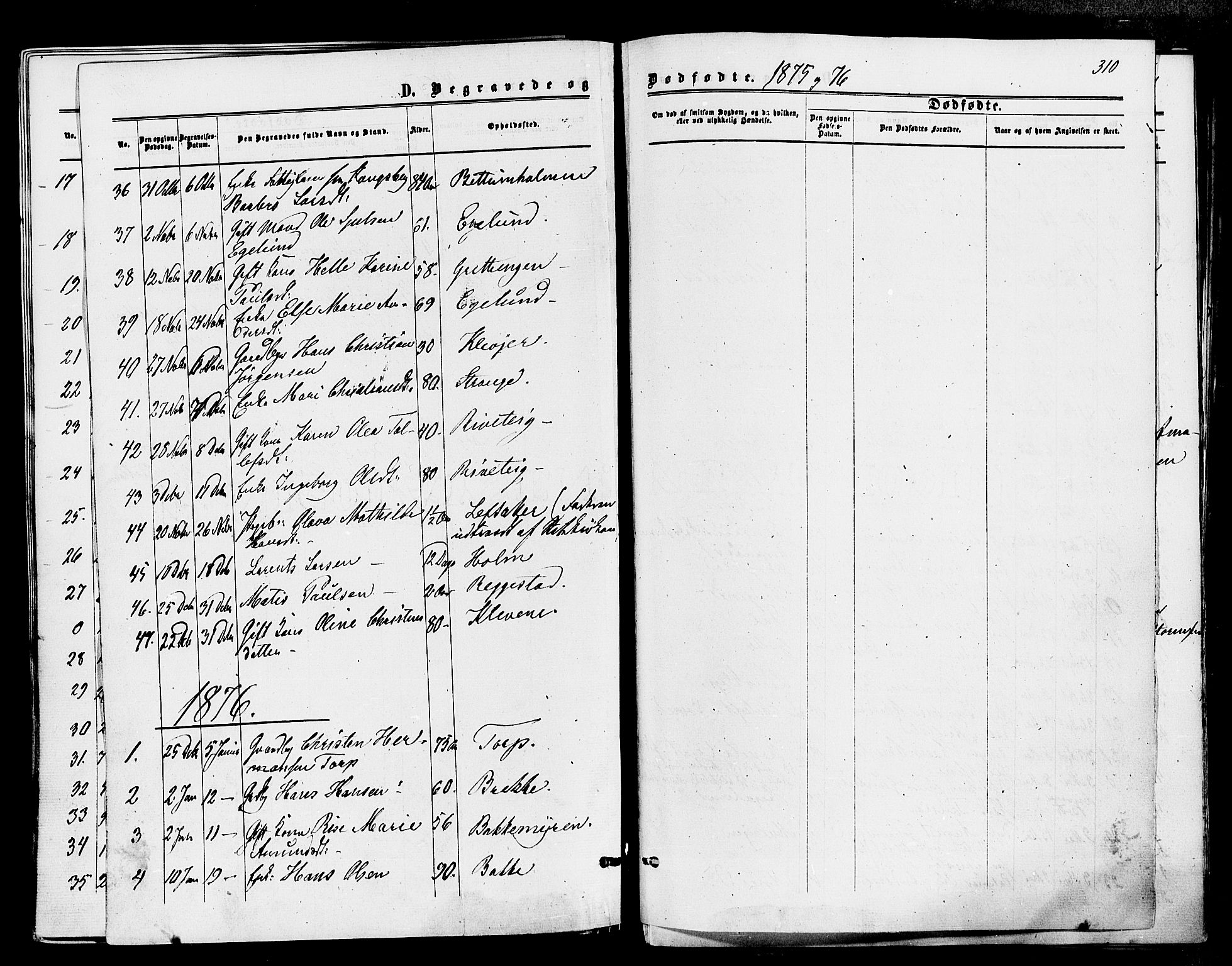 Våle kirkebøker, SAKO/A-334/F/Fa/L0010: Parish register (official) no. I 10, 1861-1877, p. 310