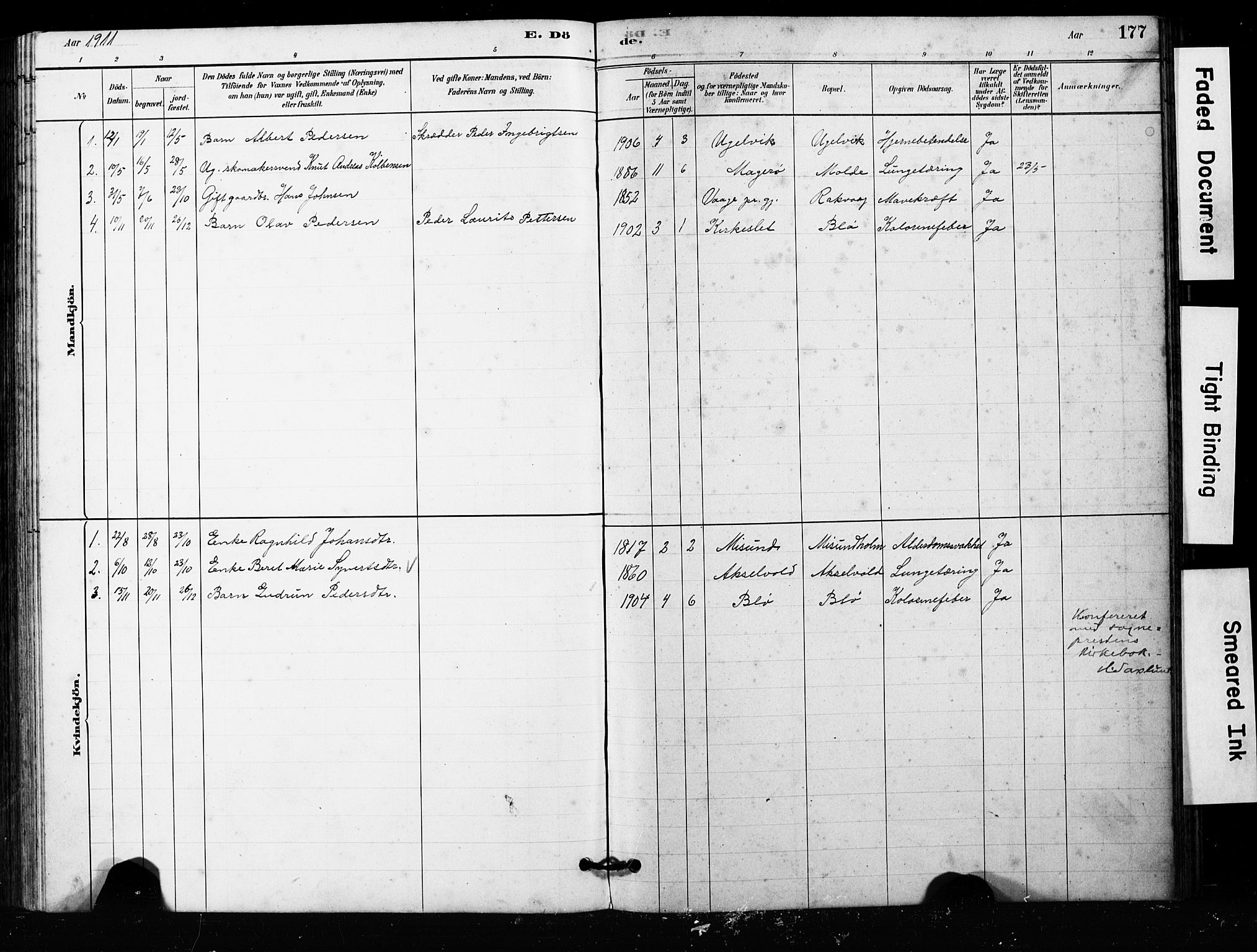 Ministerialprotokoller, klokkerbøker og fødselsregistre - Møre og Romsdal, AV/SAT-A-1454/563/L0737: Parish register (copy) no. 563C01, 1878-1916, p. 177