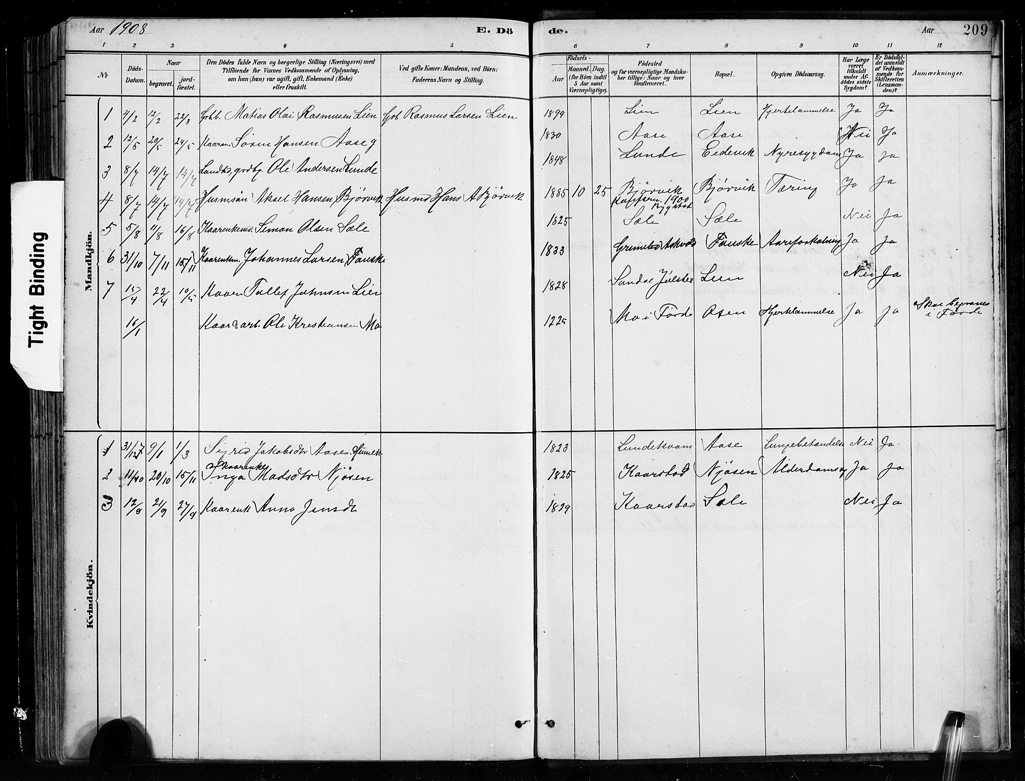 Gaular sokneprestembete, SAB/A-80001/H/Hab: Parish register (copy) no. B 3, 1882-1913, p. 209