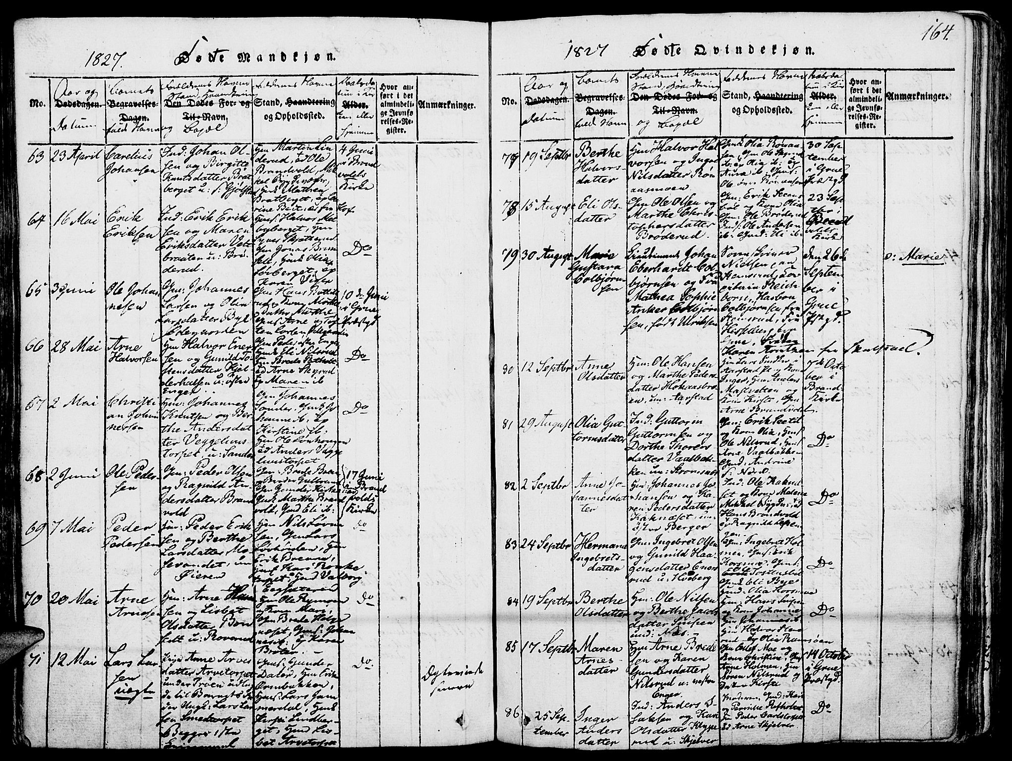 Grue prestekontor, SAH/PREST-036/H/Ha/Haa/L0006: Parish register (official) no. 6, 1814-1830, p. 164