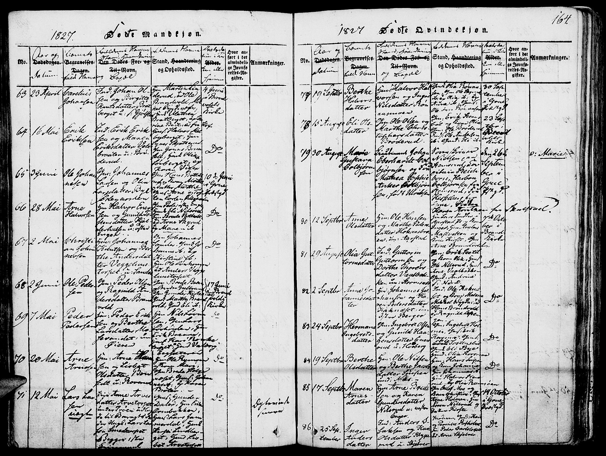Grue prestekontor, AV/SAH-PREST-036/H/Ha/Haa/L0006: Parish register (official) no. 6, 1814-1830, p. 164