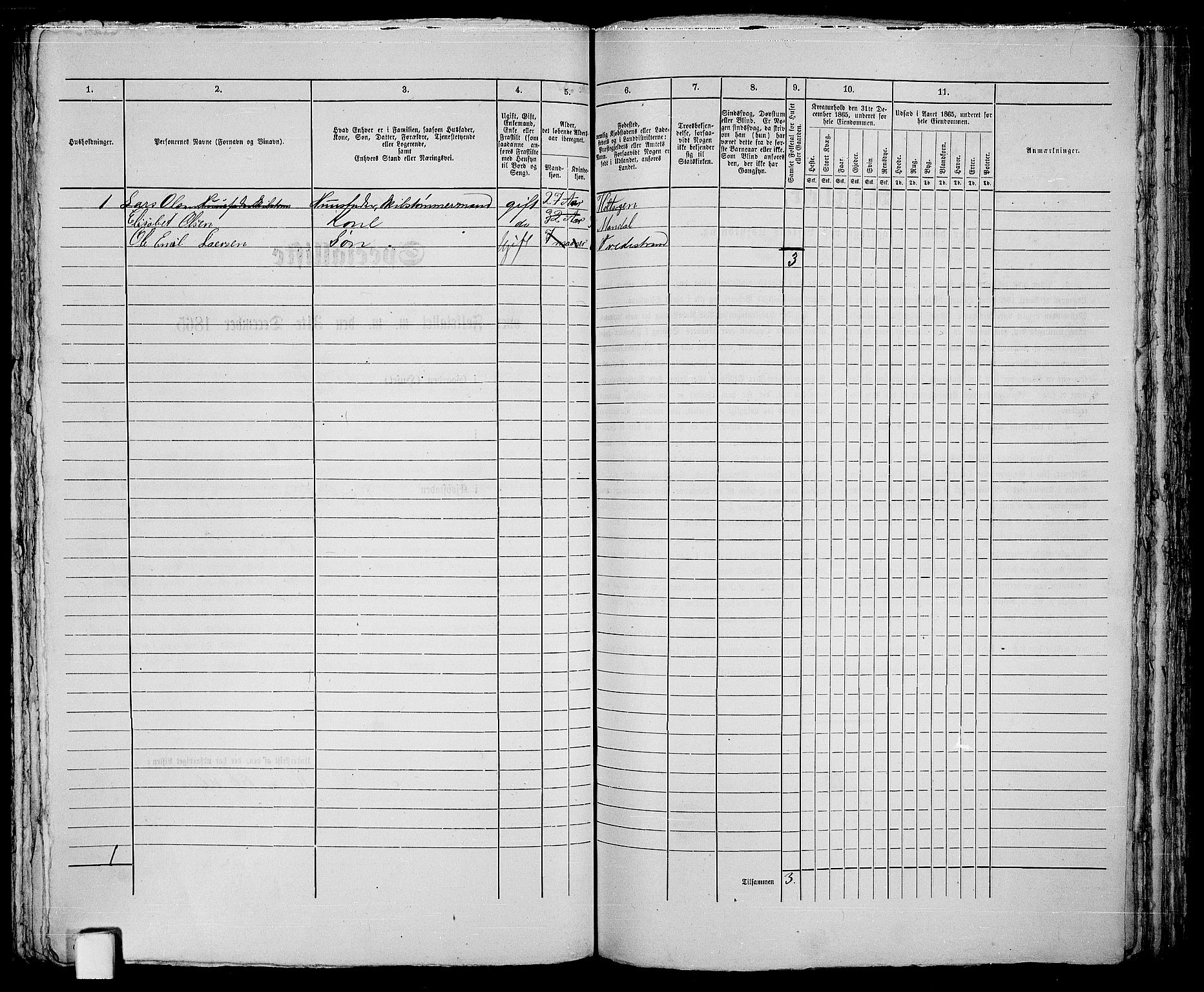 RA, 1865 census for Holt/Tvedestrand, 1865, p. 220