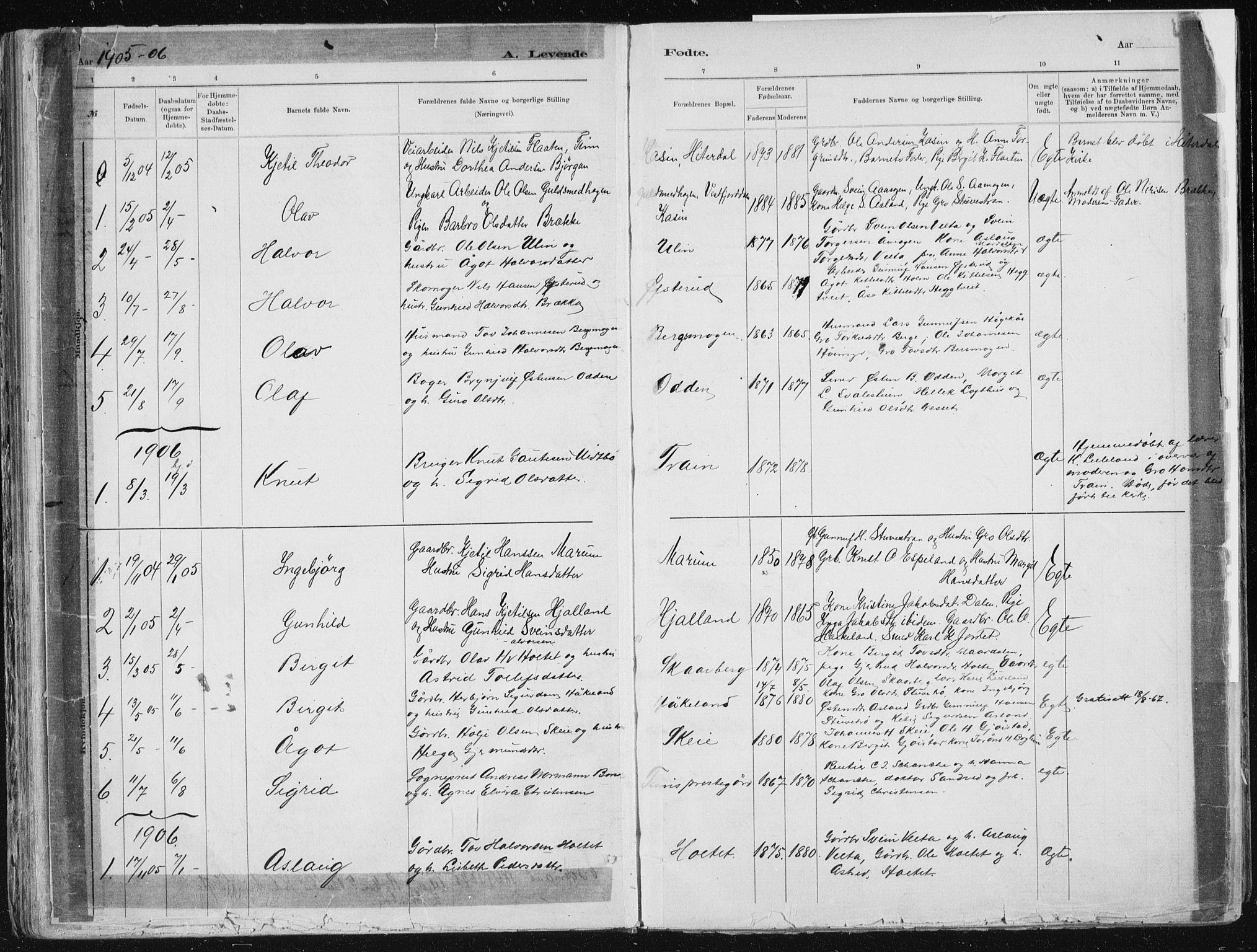 Tinn kirkebøker, SAKO/A-308/F/Fa/L0007: Parish register (official) no. I 7, 1878-1922, p. 66