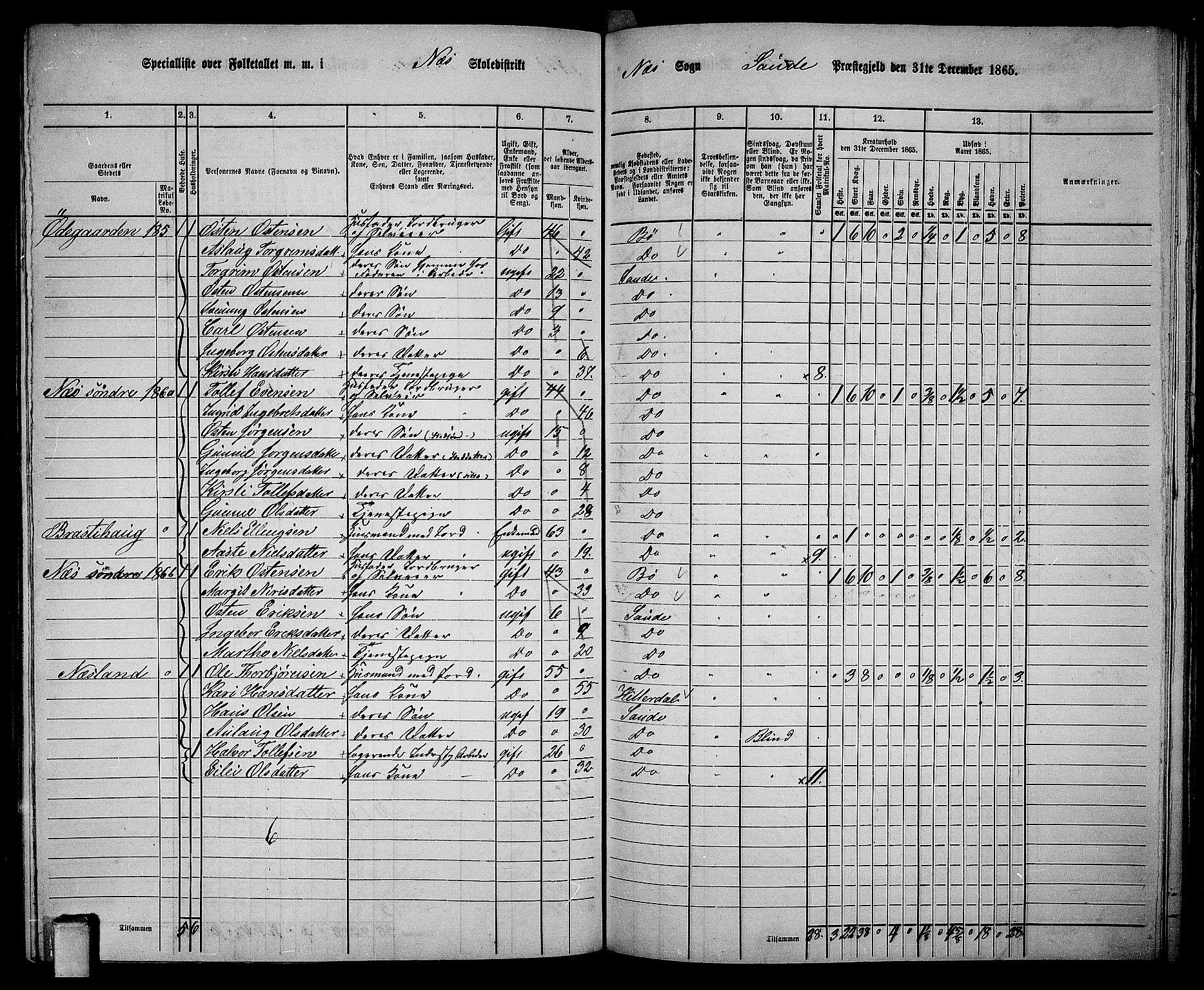 RA, 1865 census for Sauherad, 1865, p. 125