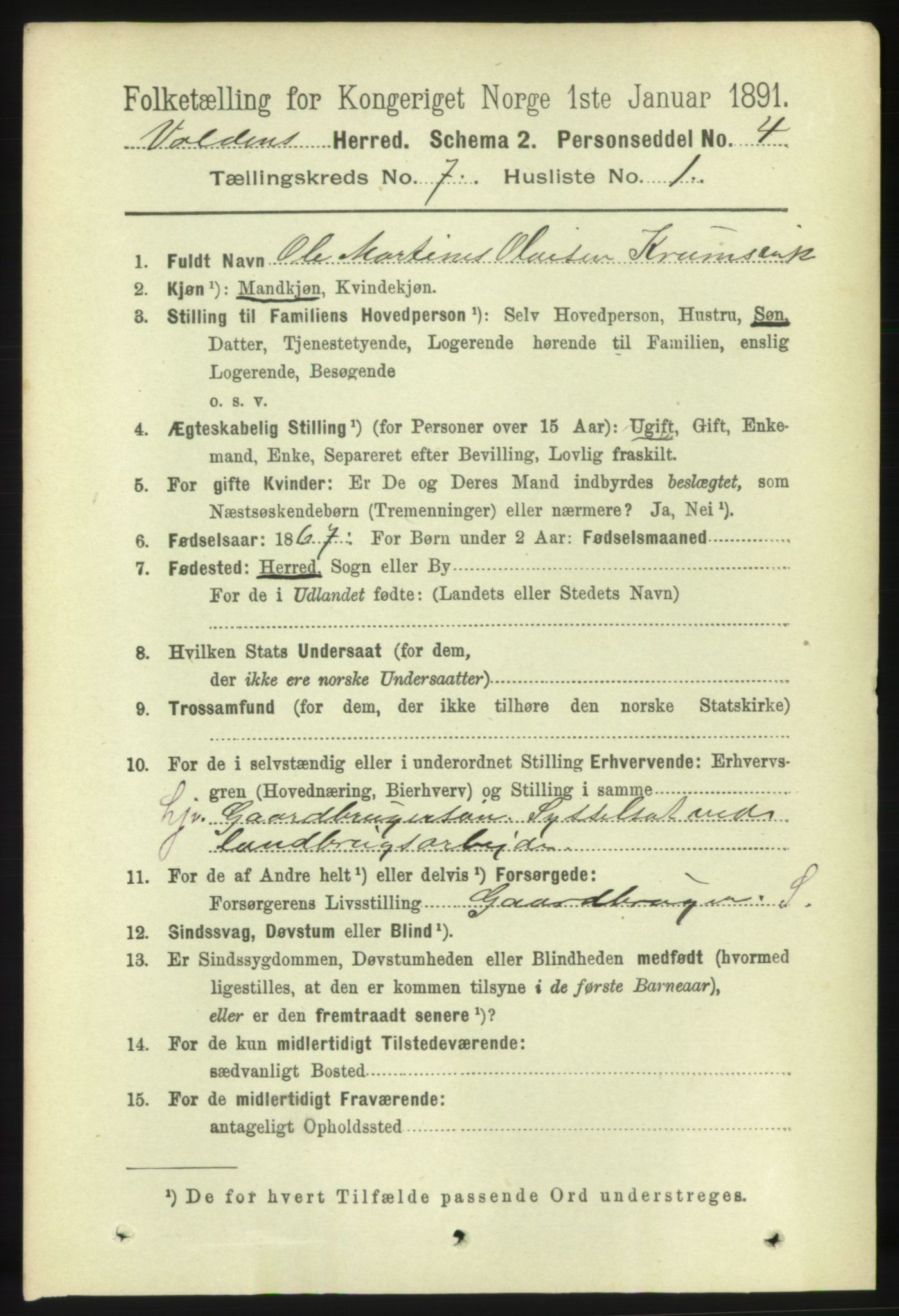 RA, 1891 census for 1519 Volda, 1891, p. 3353