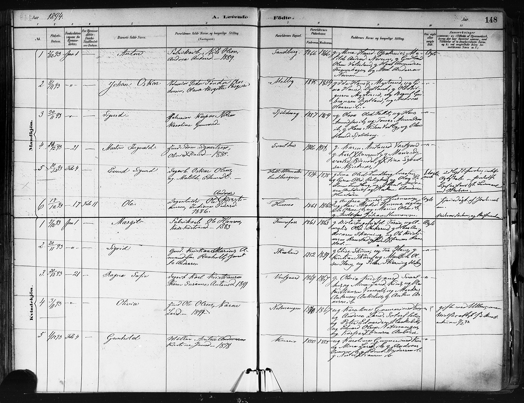 Nes prestekontor Kirkebøker, SAO/A-10410/F/Fa/L0010: Parish register (official) no. I 10, 1883-1898, p. 148