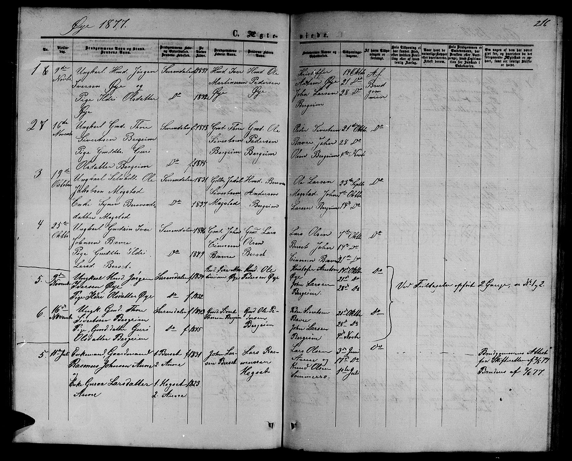 Ministerialprotokoller, klokkerbøker og fødselsregistre - Møre og Romsdal, SAT/A-1454/595/L1051: Parish register (copy) no. 595C03, 1866-1891, p. 216