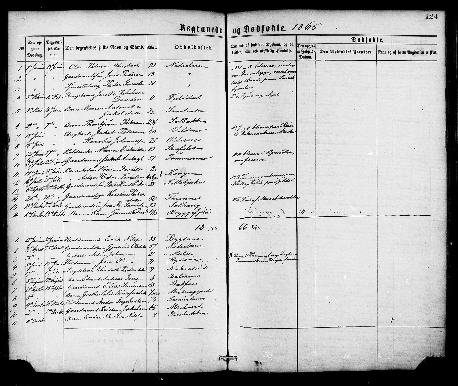 Ministerialprotokoller, klokkerbøker og fødselsregistre - Nordland, SAT/A-1459/826/L0378: Parish register (official) no. 826A01, 1865-1878, p. 124