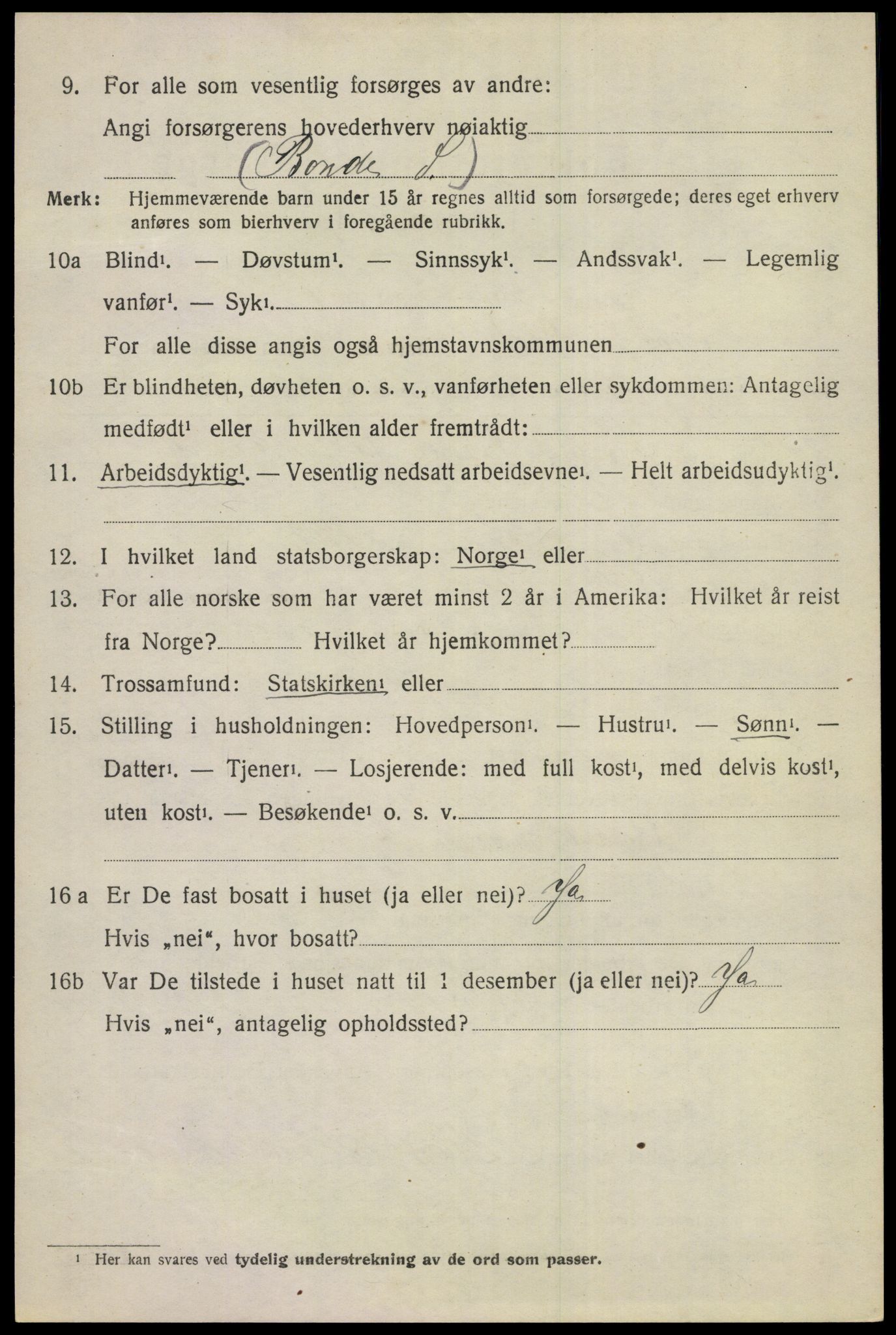 SAKO, 1920 census for Ål, 1920, p. 4809