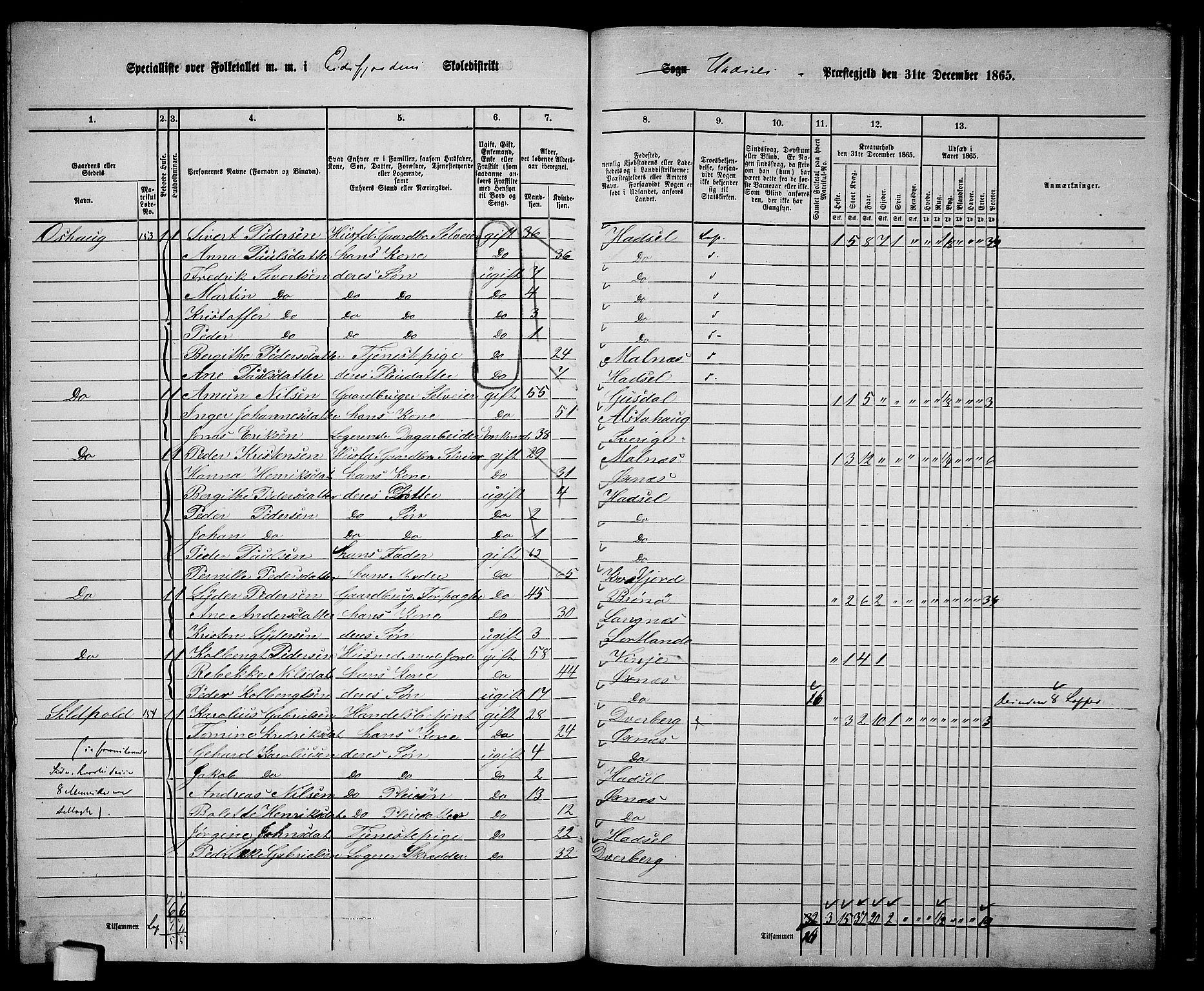 RA, 1865 census for Hadsel, 1865, p. 140