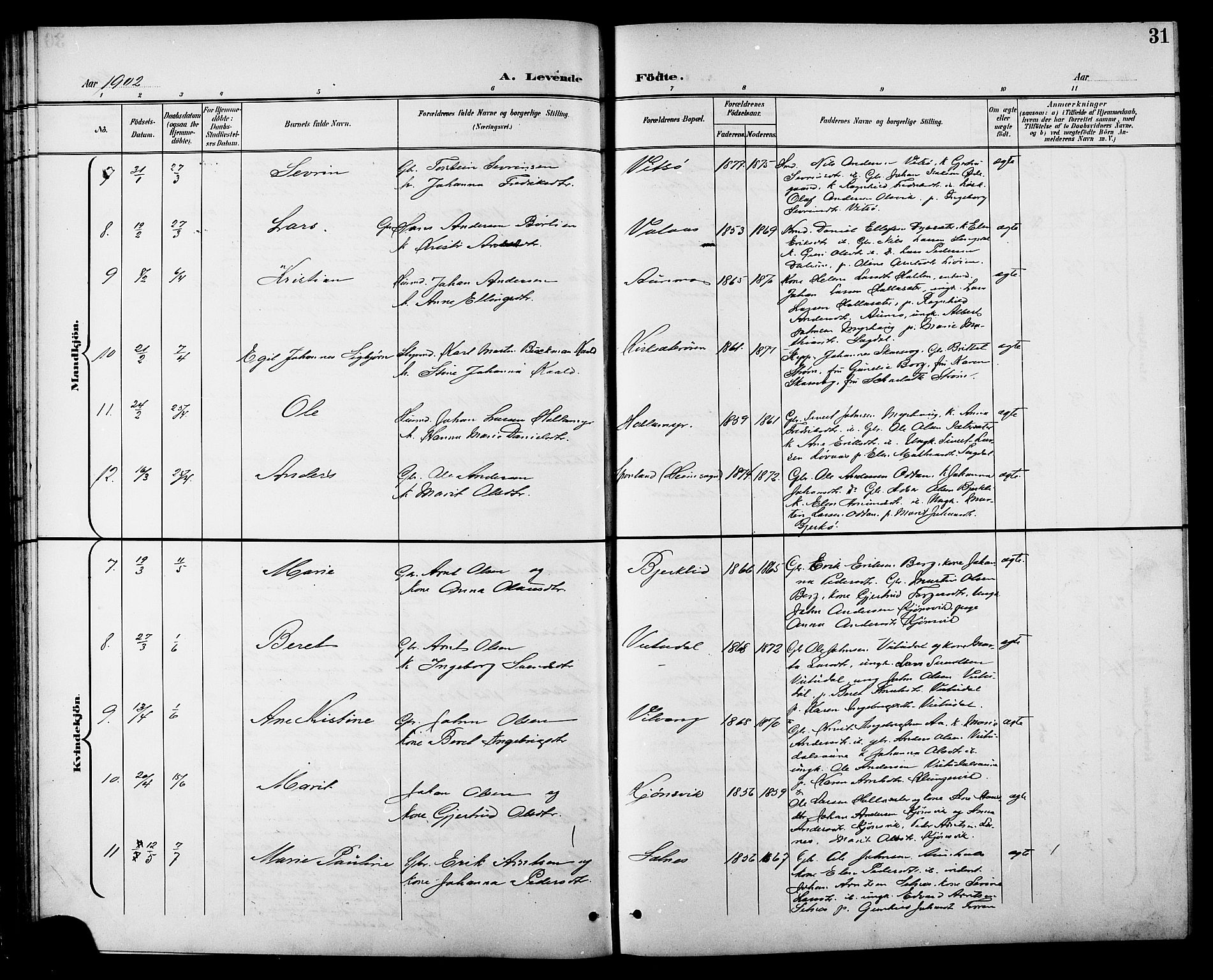 Ministerialprotokoller, klokkerbøker og fødselsregistre - Sør-Trøndelag, AV/SAT-A-1456/630/L0505: Parish register (copy) no. 630C03, 1899-1914, p. 31