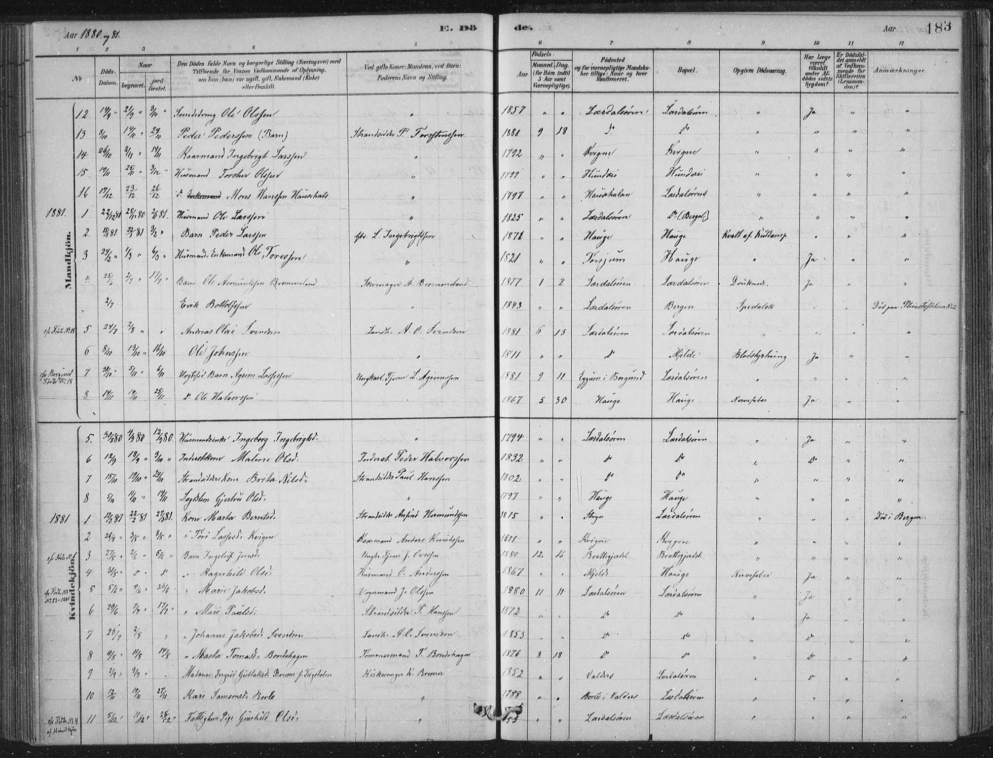 Lærdal sokneprestembete, SAB/A-81201: Parish register (official) no. D  1, 1878-1908, p. 183