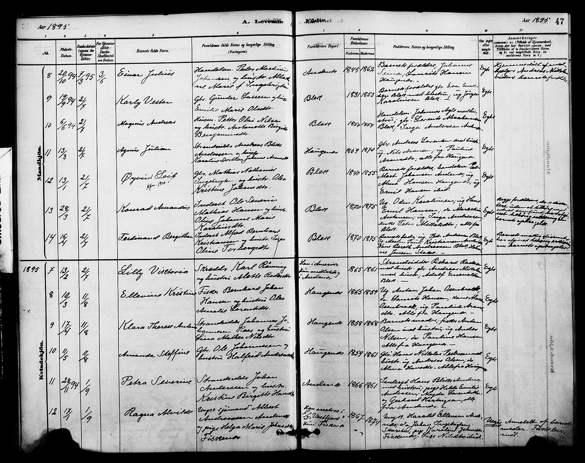 Ministerialprotokoller, klokkerbøker og fødselsregistre - Nordland, SAT/A-1459/899/L1436: Parish register (official) no. 899A04, 1881-1896, p. 47
