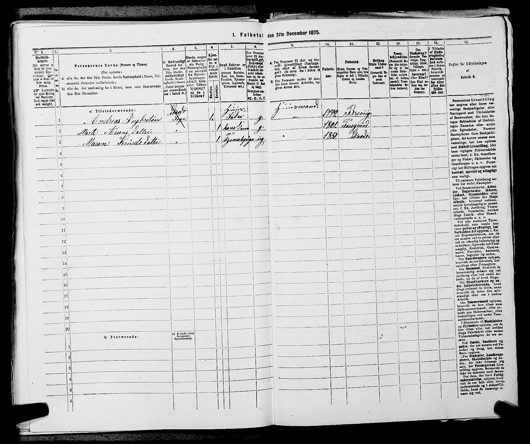 SAKO, 1875 census for 0816P Sannidal, 1875, p. 808