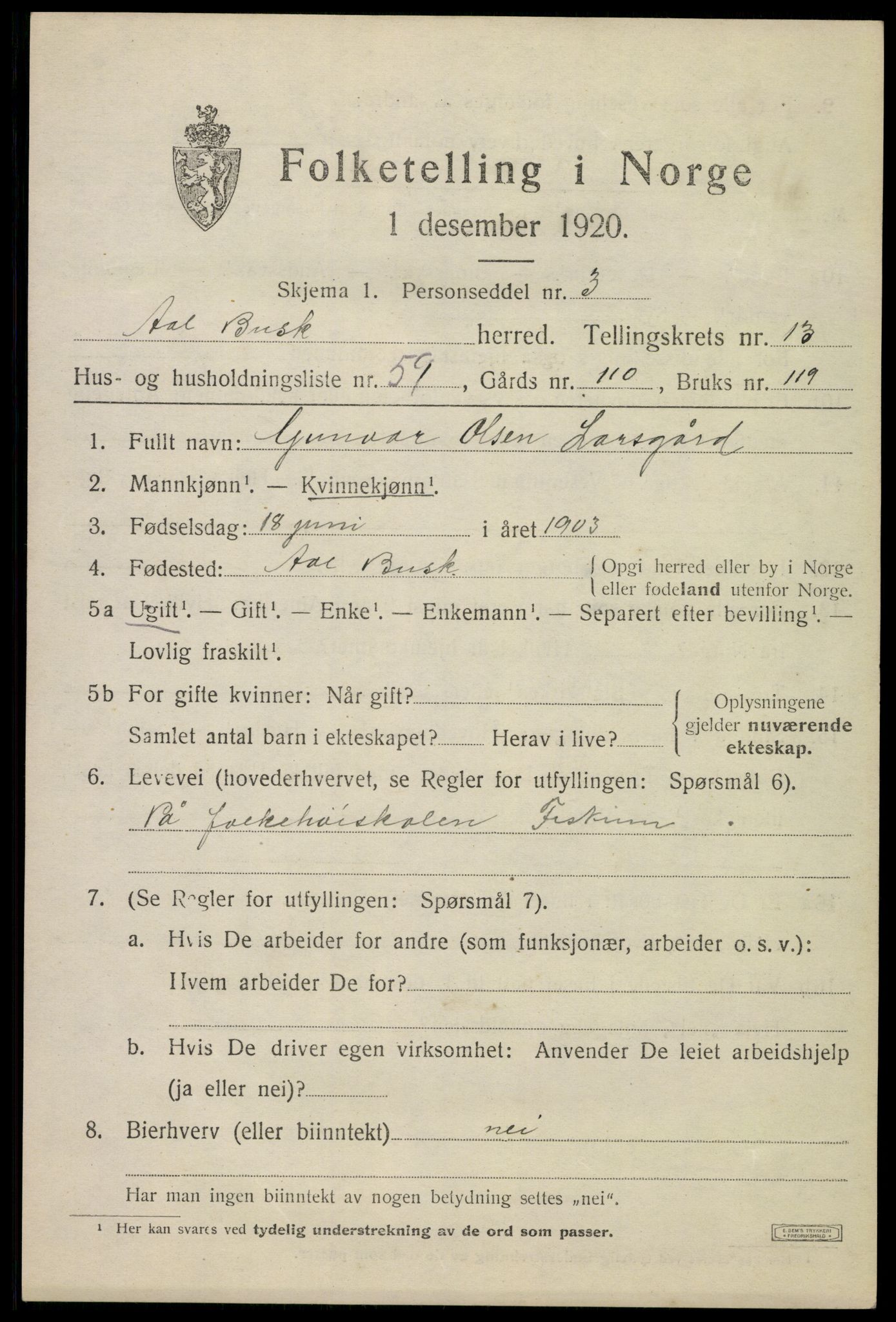 SAKO, 1920 census for Ål, 1920, p. 8058