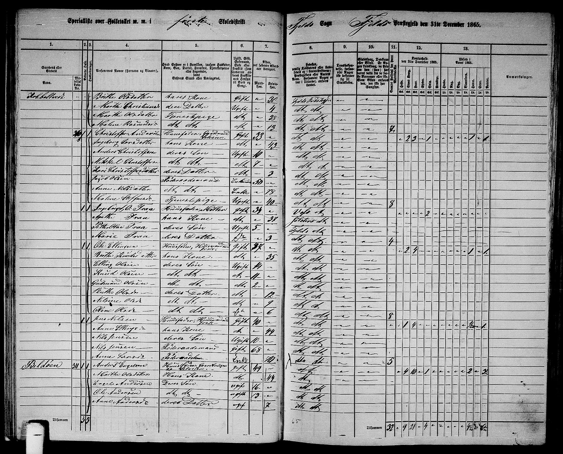 RA, 1865 census for Fjell, 1865, p. 19