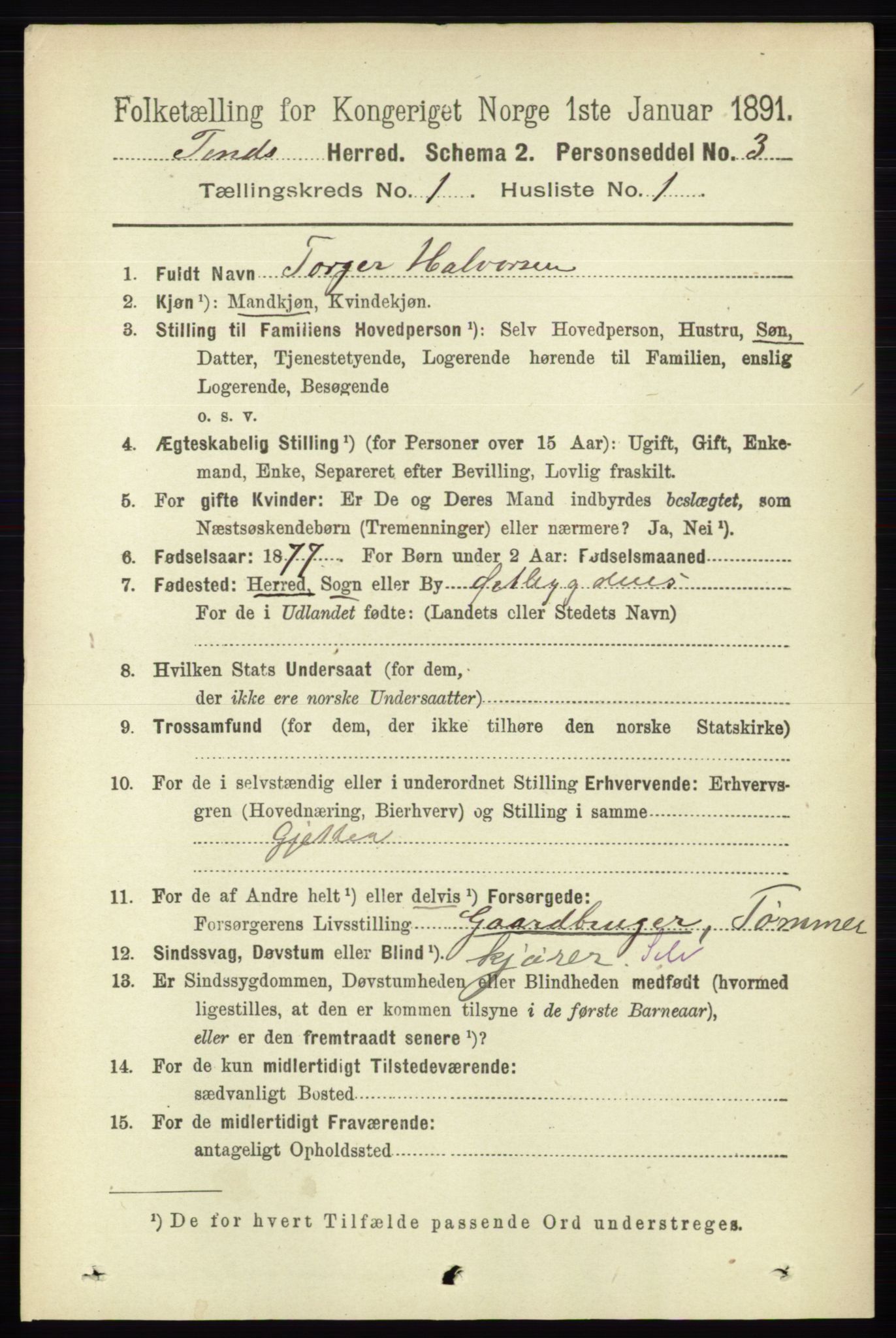 RA, 1891 census for 0826 Tinn, 1891, p. 49