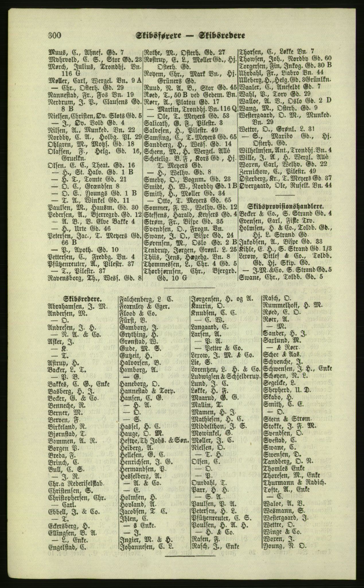 Kristiania/Oslo adressebok, PUBL/-, 1879, p. 300