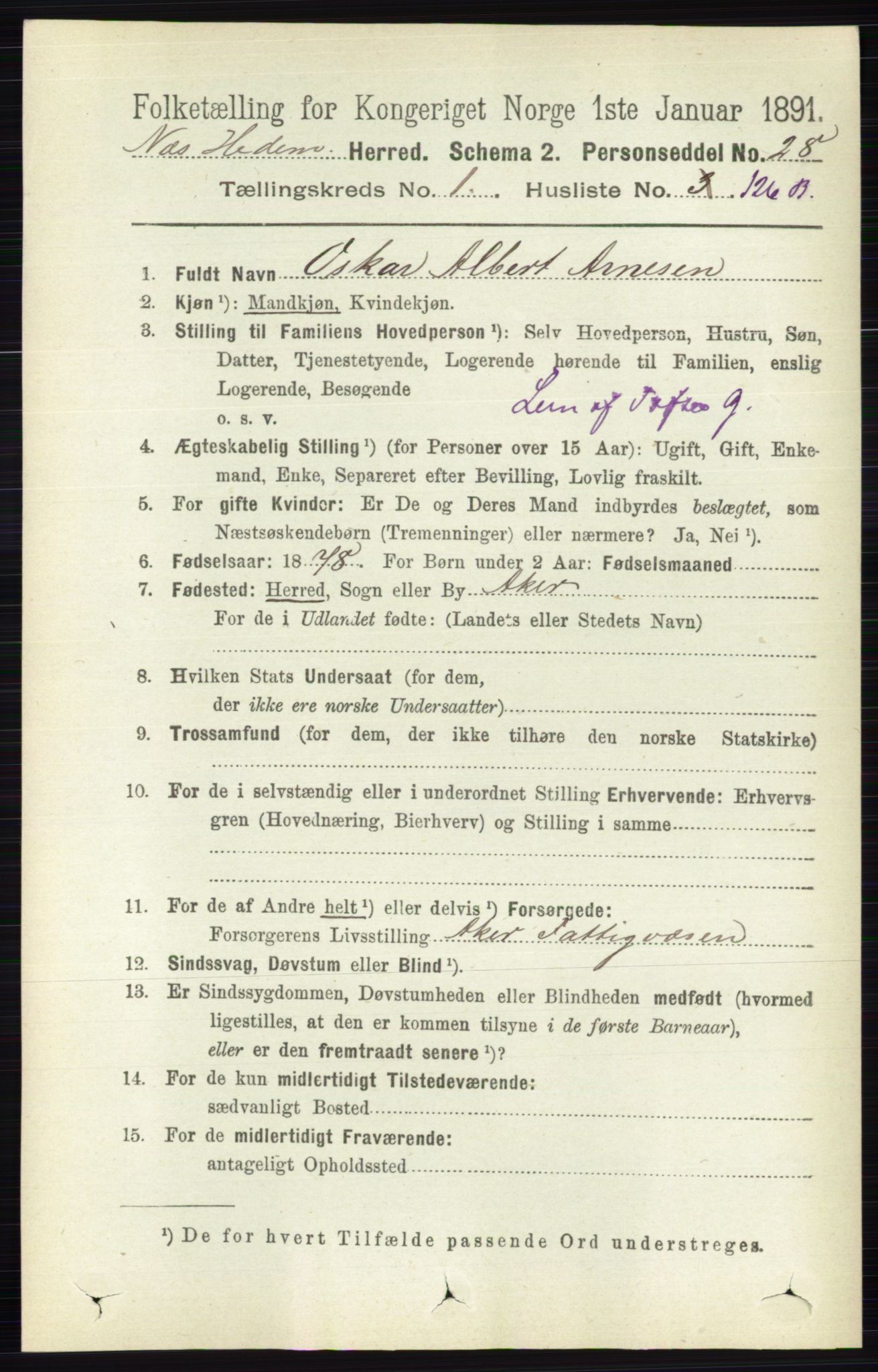RA, 1891 census for 0411 Nes, 1891, p. 935
