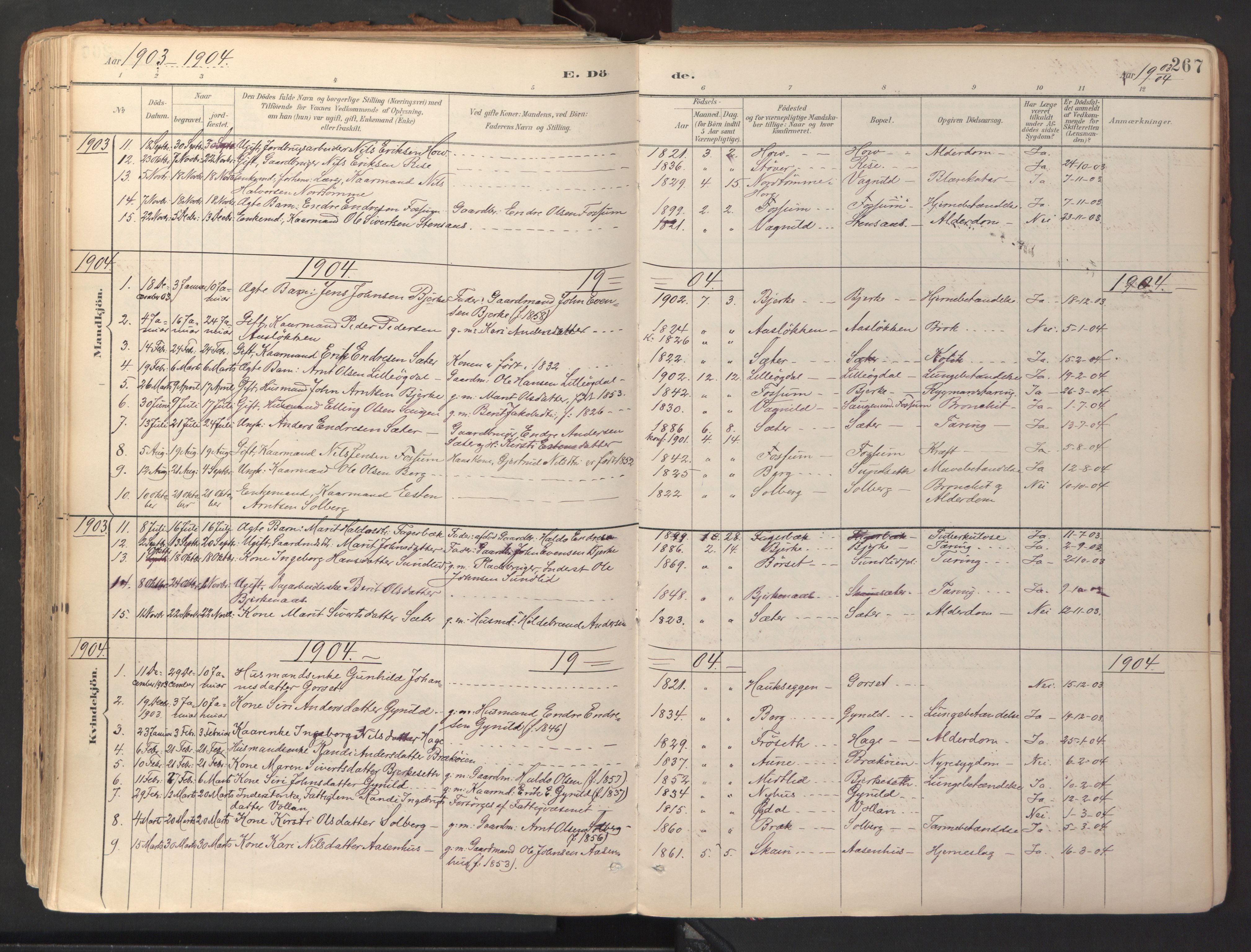 Ministerialprotokoller, klokkerbøker og fødselsregistre - Sør-Trøndelag, AV/SAT-A-1456/689/L1041: Parish register (official) no. 689A06, 1891-1923, p. 267