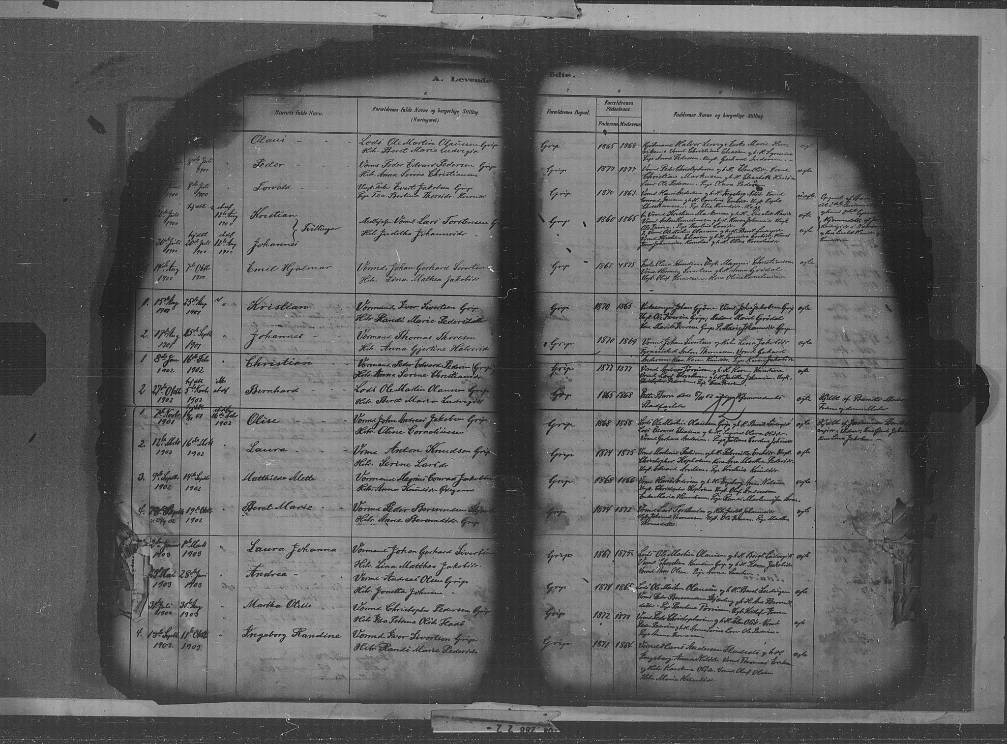 Kristiansund sokneprestkontor, AV/SAT-A-1068/1/I/I1: Parish register (official) no. 36, 1880-1919, p. 12