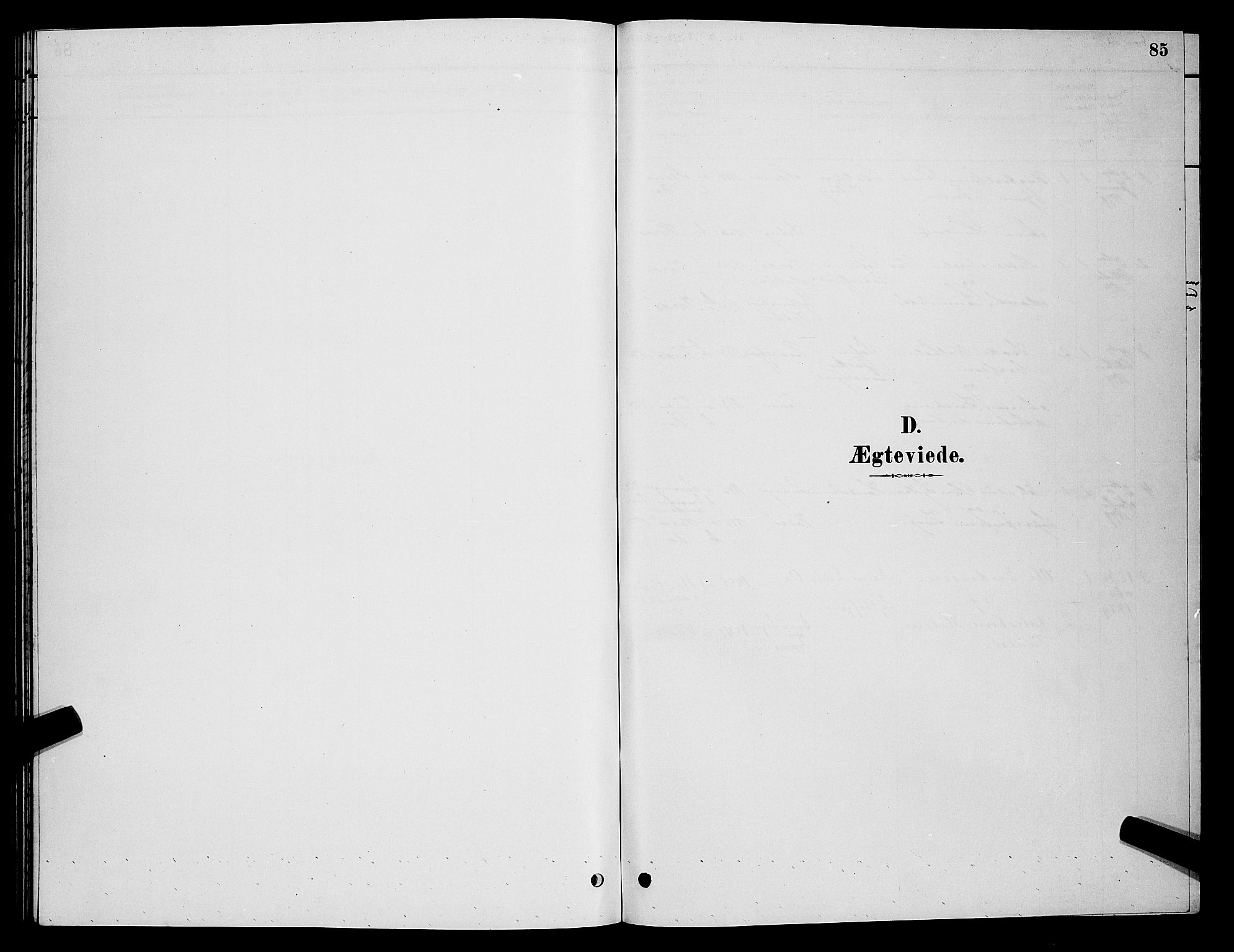 Vardø sokneprestkontor, SATØ/S-1332/H/Hb/L0006klokker: Parish register (copy) no. 6, 1879-1887, p. 85