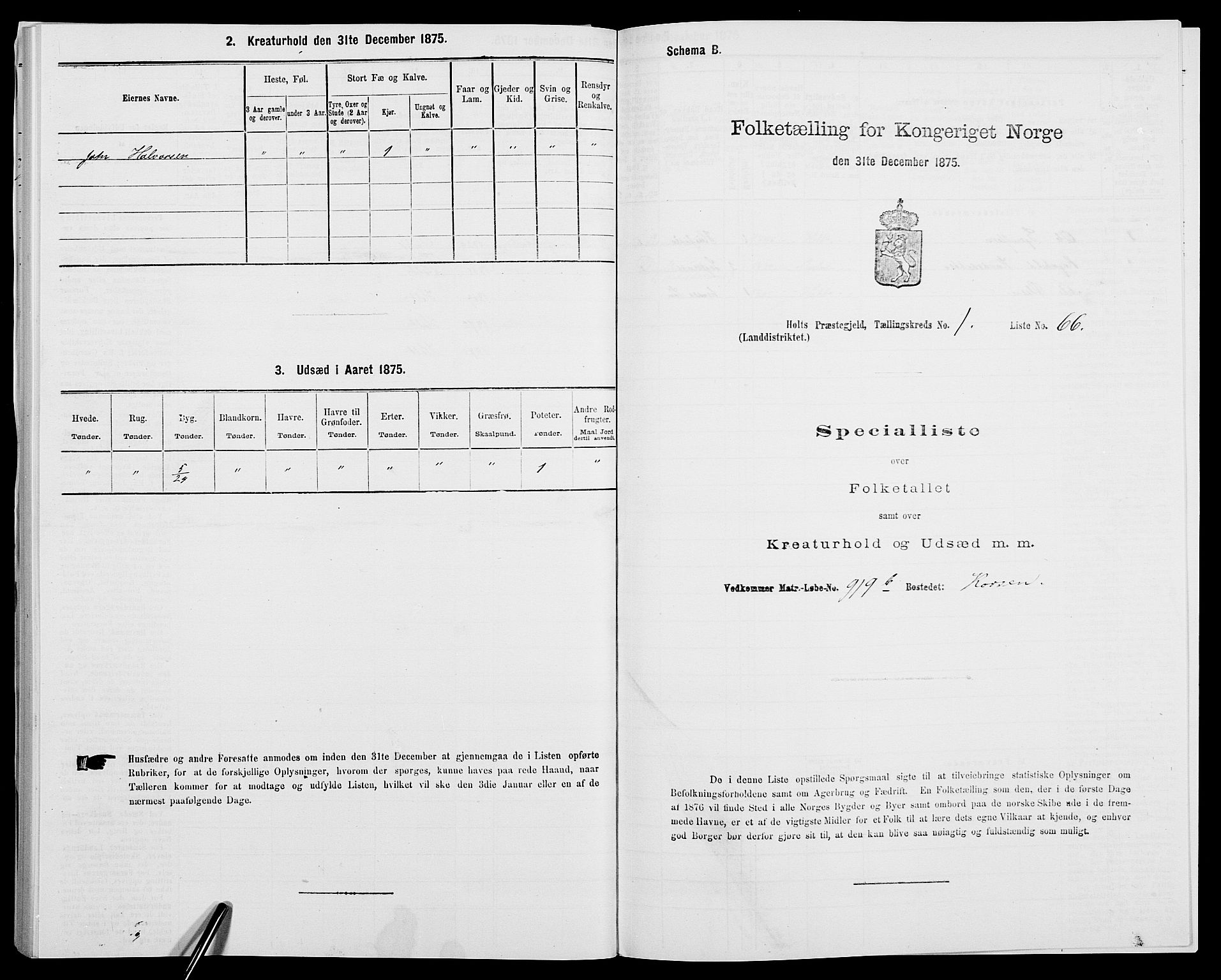 SAK, 1875 census for 0914L Holt/Holt, 1875, p. 181