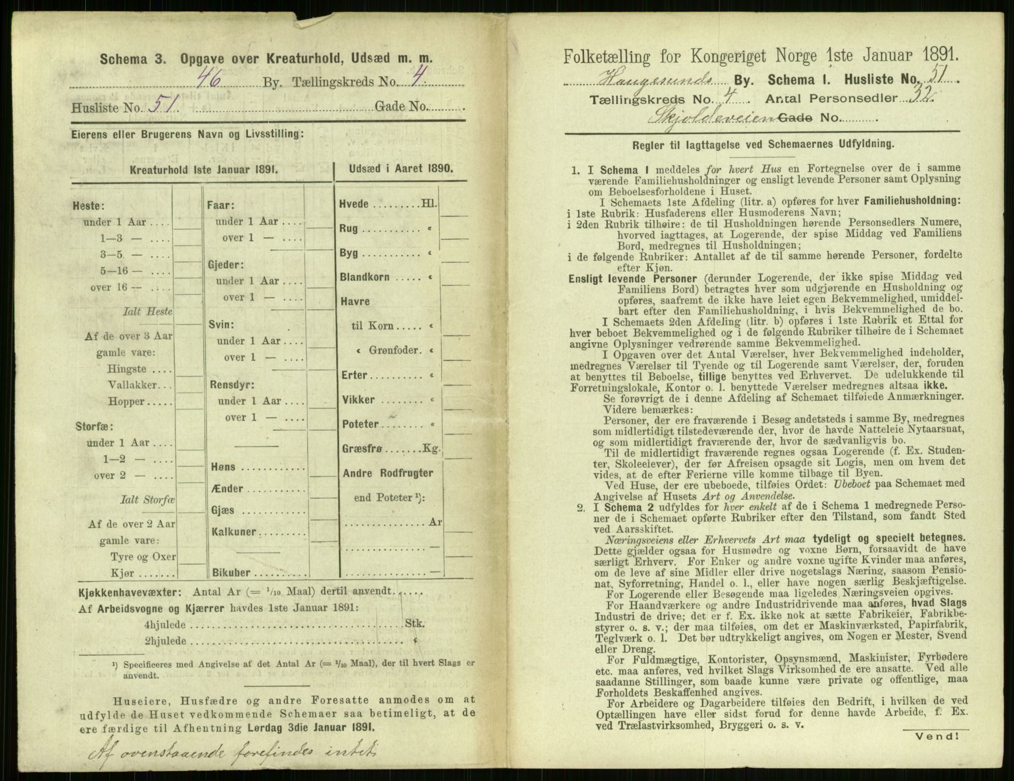 RA, 1891 census for 1106 Haugesund, 1891, p. 317