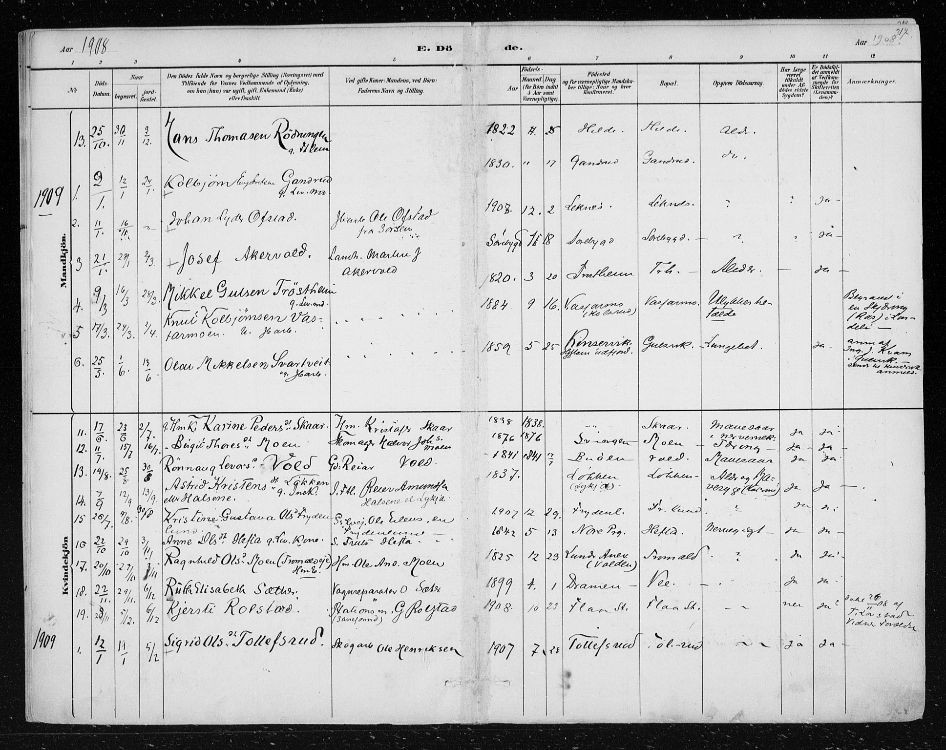 Nes kirkebøker, SAKO/A-236/F/Fa/L0012: Parish register (official) no. 12, 1881-1917, p. 317