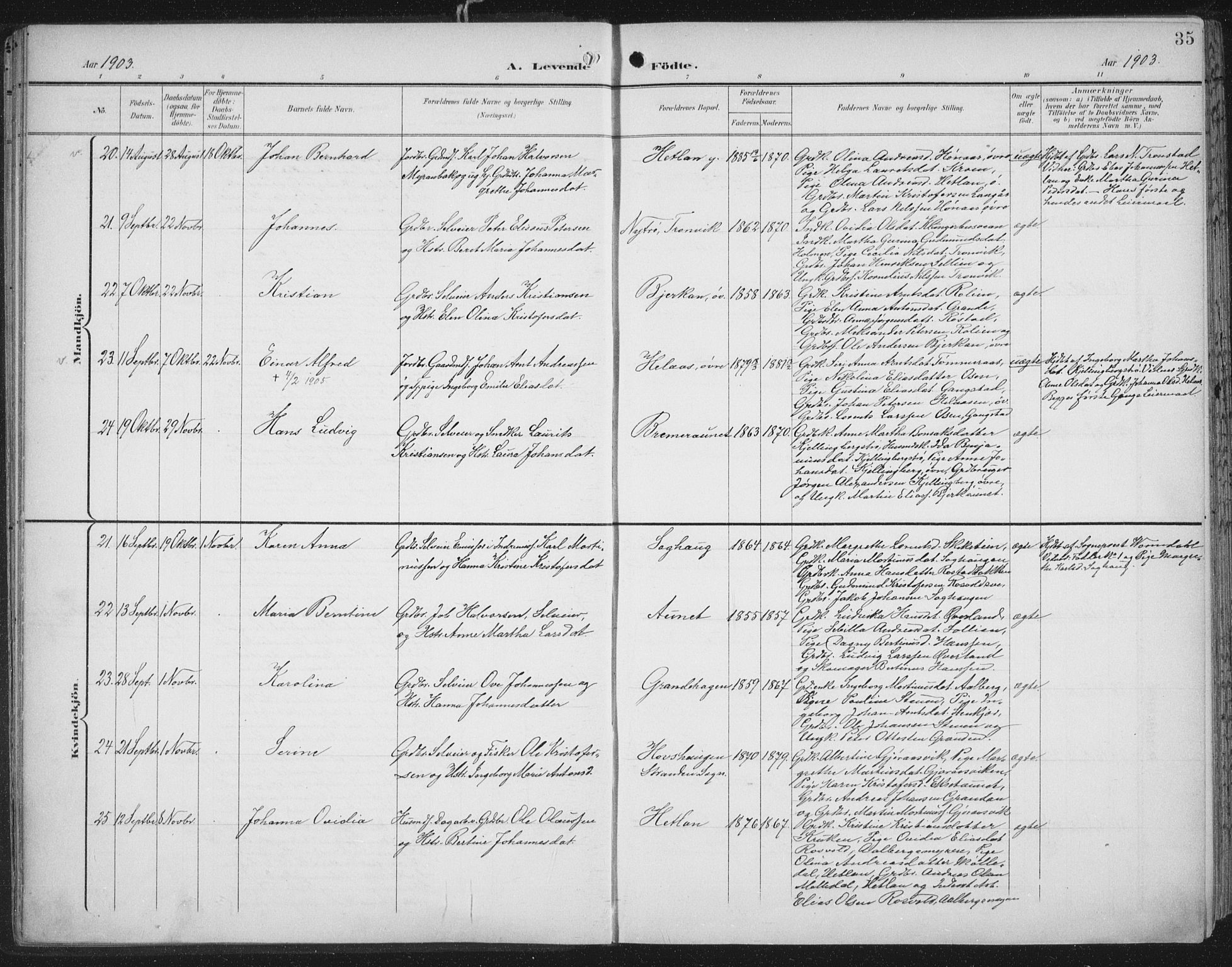 Ministerialprotokoller, klokkerbøker og fødselsregistre - Nord-Trøndelag, SAT/A-1458/701/L0011: Parish register (official) no. 701A11, 1899-1915, p. 35