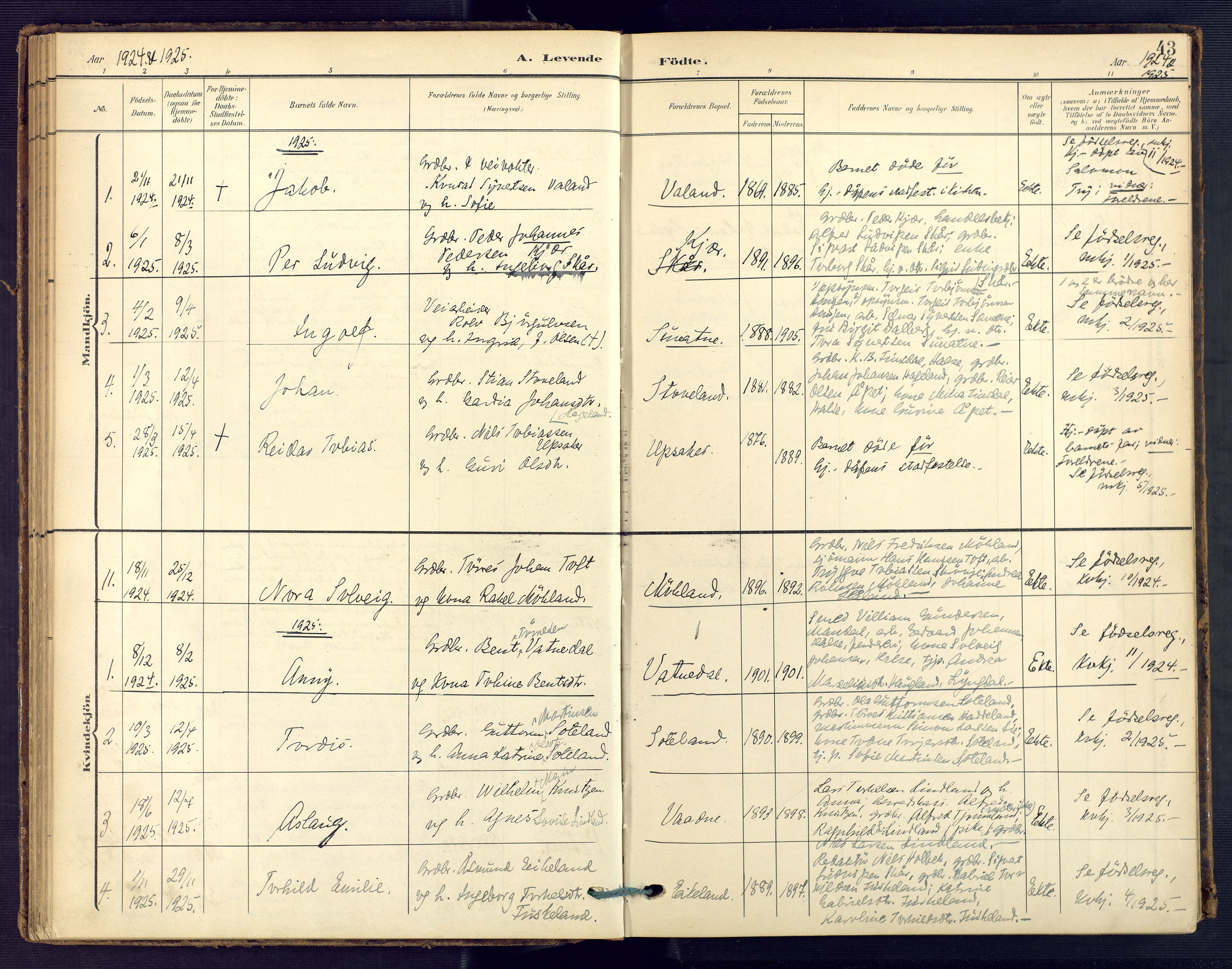 Holum sokneprestkontor, SAK/1111-0022/F/Fa/Faa/L0008: Parish register (official) no. A 8, 1908-1929, p. 43
