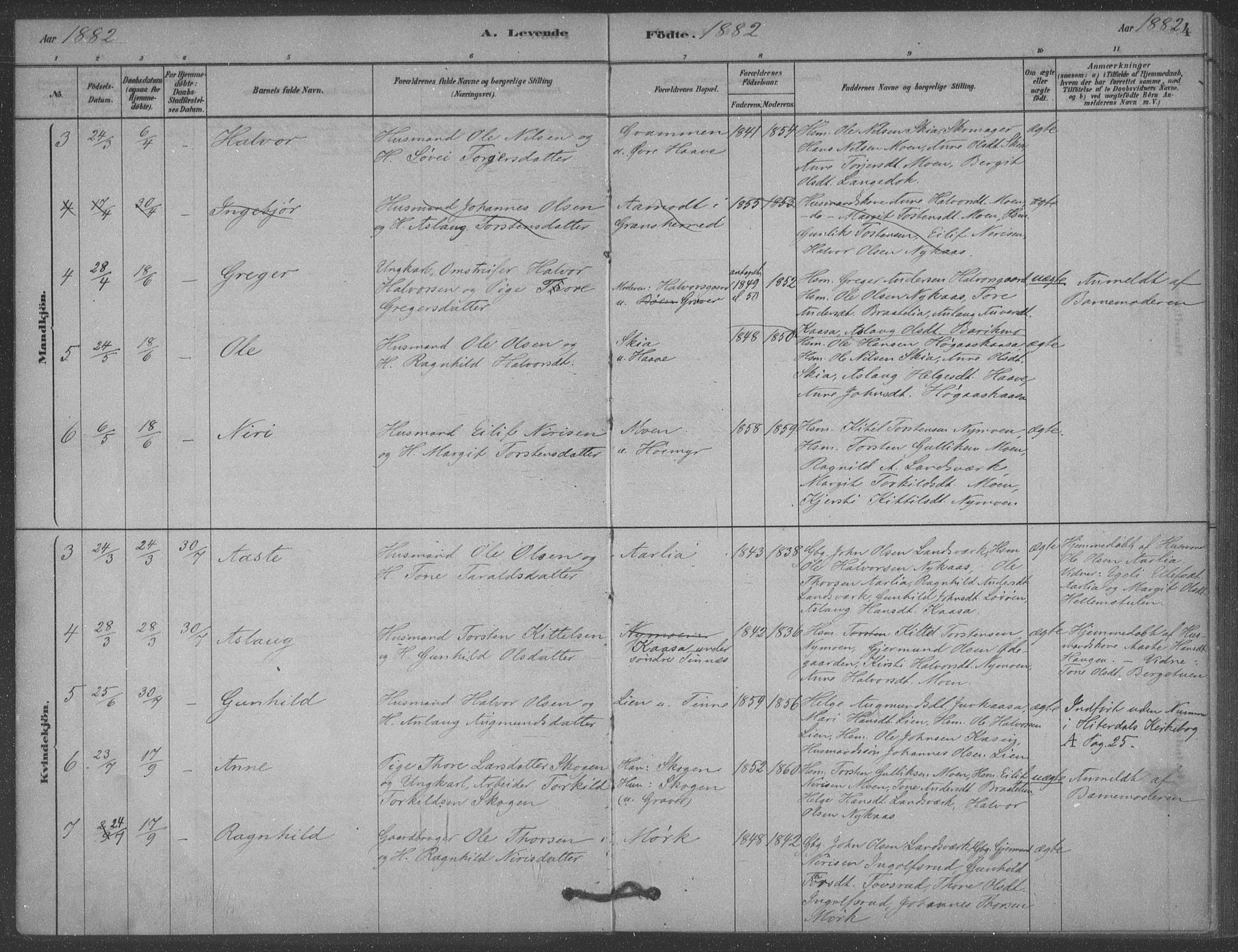 Heddal kirkebøker, SAKO/A-268/F/Fb/L0002: Parish register (official) no. II 2, 1878-1913, p. 4