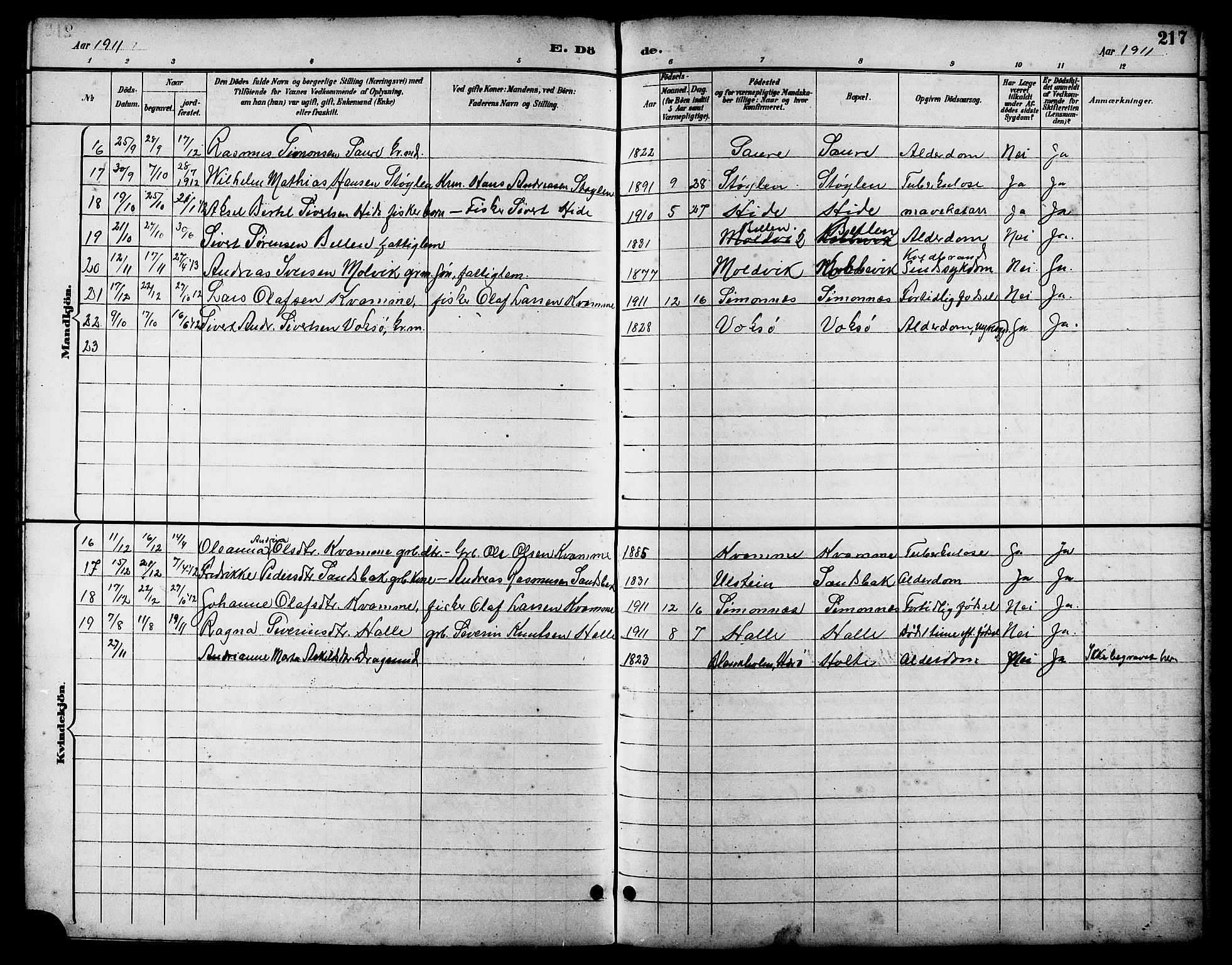 Ministerialprotokoller, klokkerbøker og fødselsregistre - Møre og Romsdal, AV/SAT-A-1454/503/L0049: Parish register (copy) no. 503C04, 1894-1915, p. 217