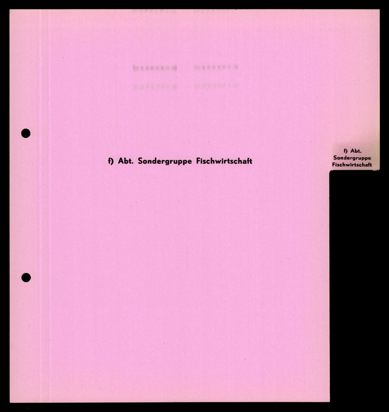 Forsvarets Overkommando. 2 kontor. Arkiv 11.4. Spredte tyske arkivsaker, AV/RA-RAFA-7031/D/Dar/Darc/L0019: FO.II, 1945, p. 1028