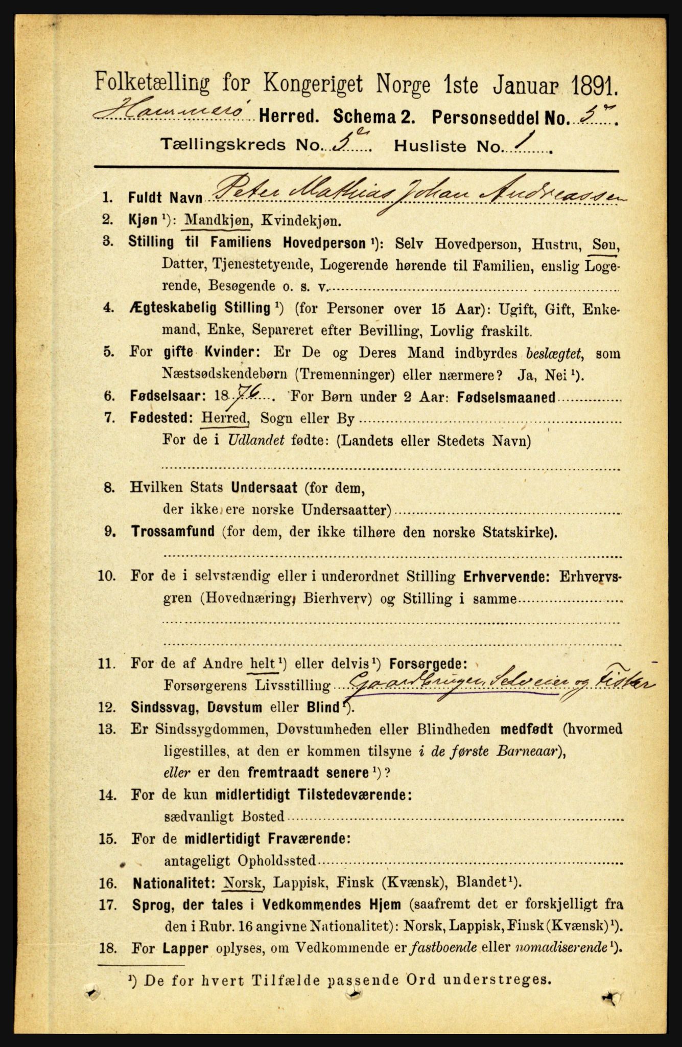 RA, 1891 census for 1849 Hamarøy, 1891, p. 2487