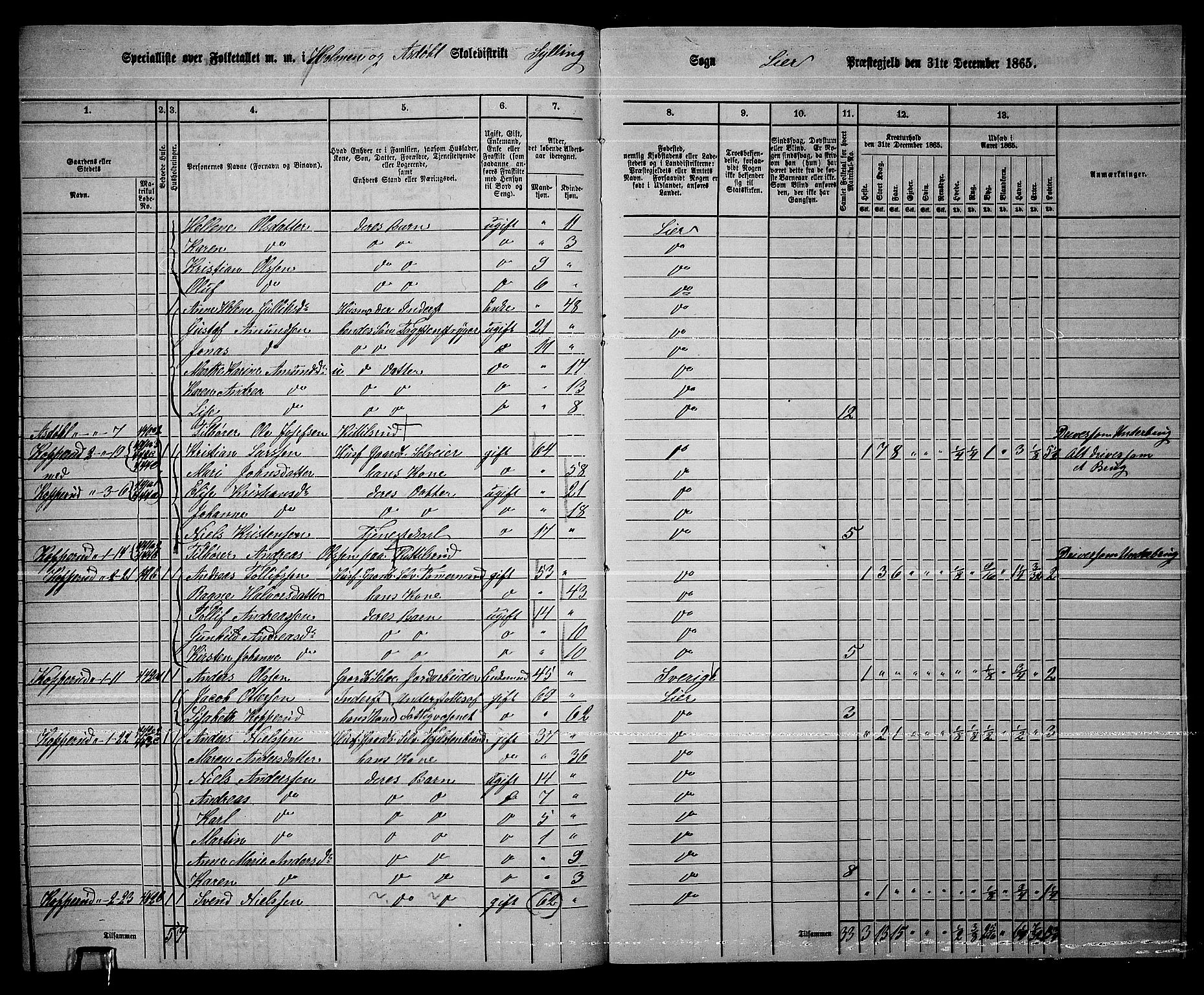 RA, 1865 census for Lier, 1865, p. 247