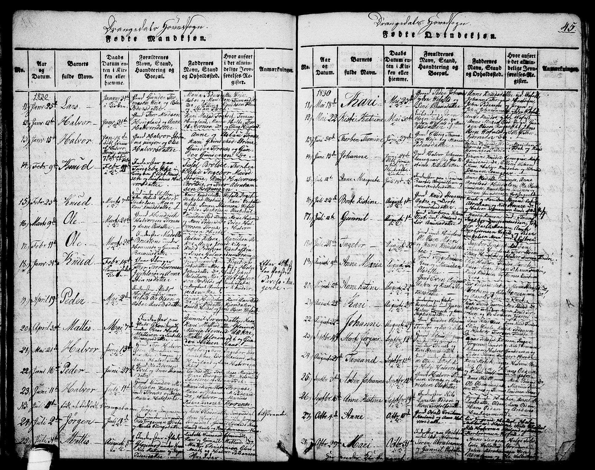 Drangedal kirkebøker, SAKO/A-258/G/Ga/L0001: Parish register (copy) no. I 1 /1, 1814-1856, p. 45