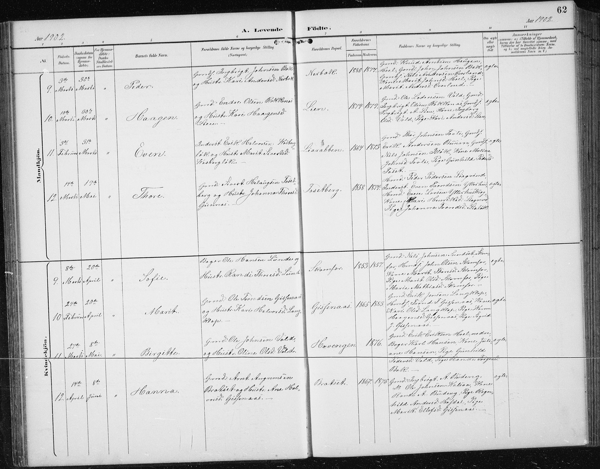 Ministerialprotokoller, klokkerbøker og fødselsregistre - Sør-Trøndelag, SAT/A-1456/674/L0876: Parish register (copy) no. 674C03, 1892-1912, p. 62