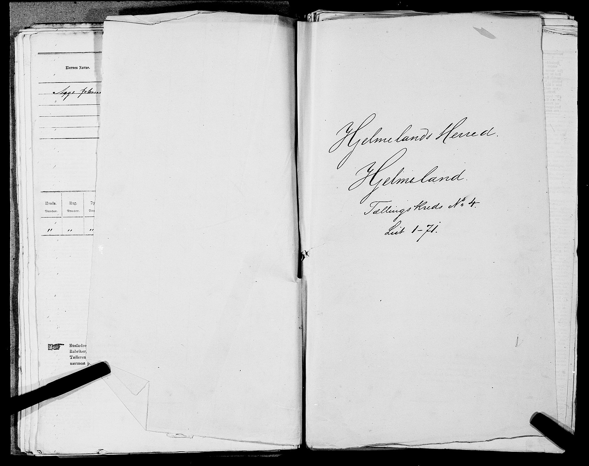 SAST, 1875 census for 1133P Hjelmeland, 1875, p. 427