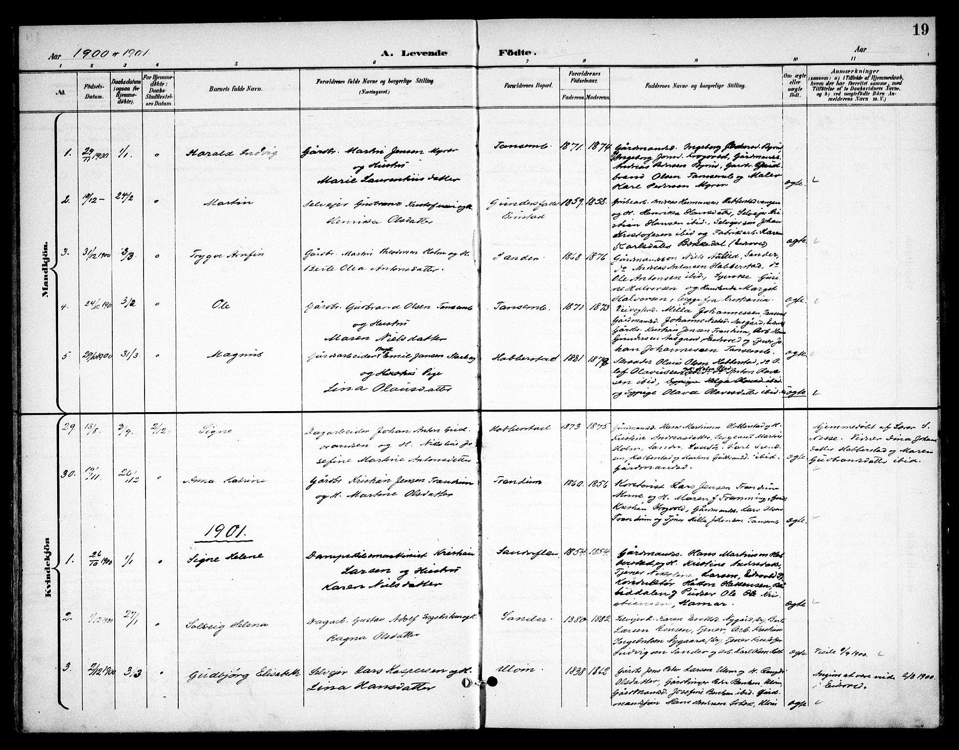 Eidsvoll prestekontor Kirkebøker, AV/SAO-A-10888/F/Fb/L0003: Parish register (official) no. II 3, 1898-1909, p. 19