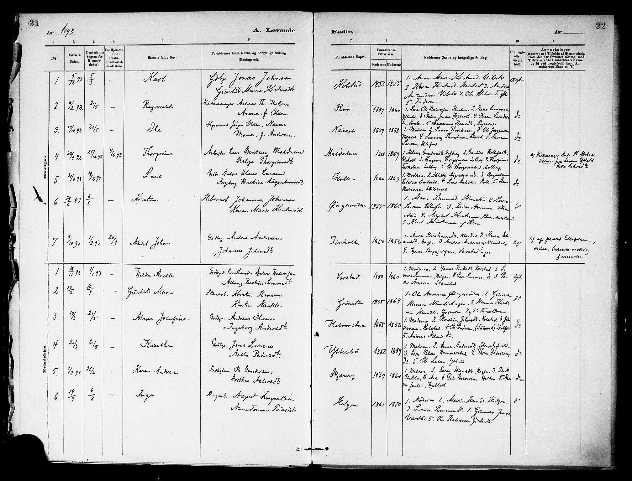 Holla kirkebøker, SAKO/A-272/F/Fa/L0009: Parish register (official) no. 9, 1881-1897, p. 21