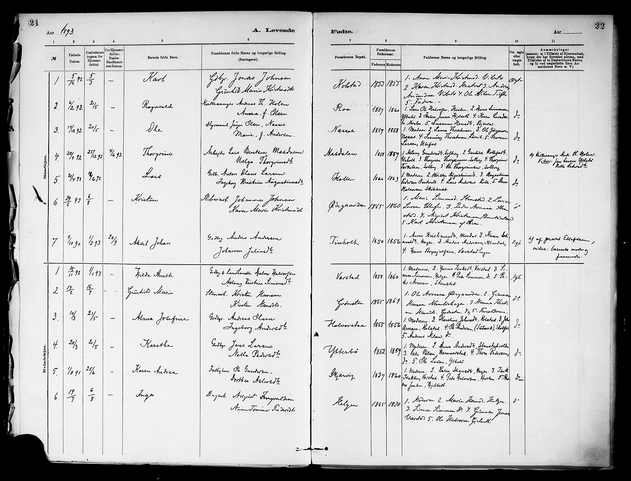 Holla kirkebøker, AV/SAKO-A-272/F/Fa/L0009: Parish register (official) no. 9, 1881-1897, p. 21