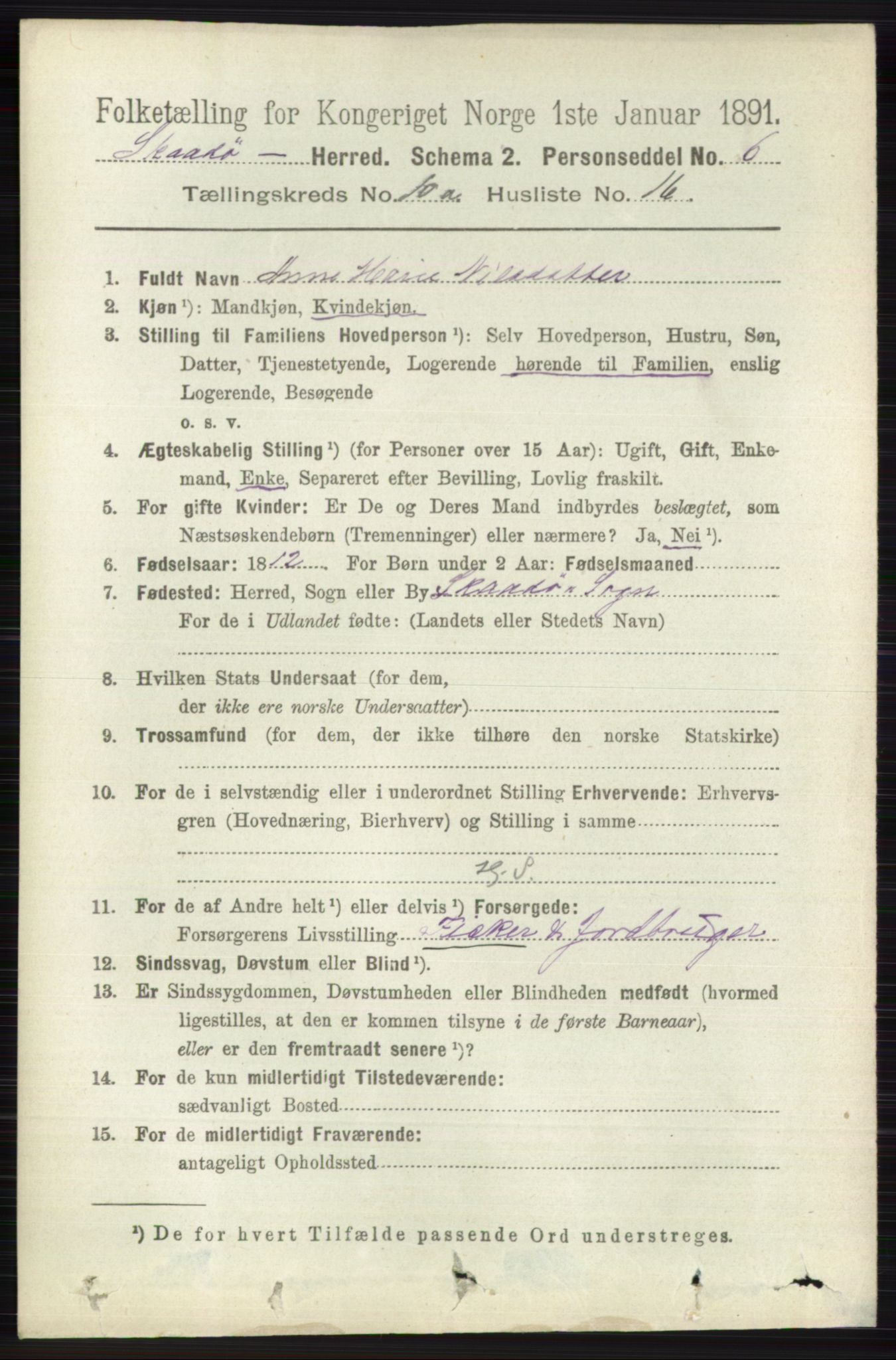 RA, 1891 census for 0815 Skåtøy, 1891, p. 4120