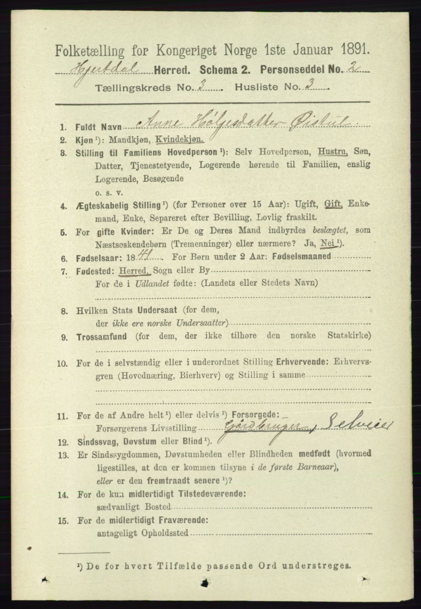 RA, 1891 census for 0827 Hjartdal, 1891, p. 1058