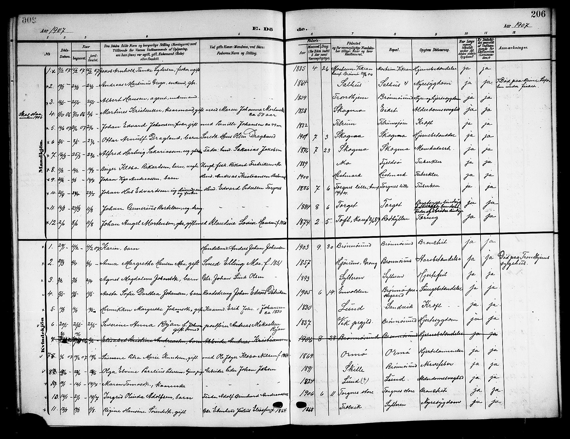 Ministerialprotokoller, klokkerbøker og fødselsregistre - Nordland, SAT/A-1459/813/L0214: Parish register (copy) no. 813C06, 1904-1917, p. 206